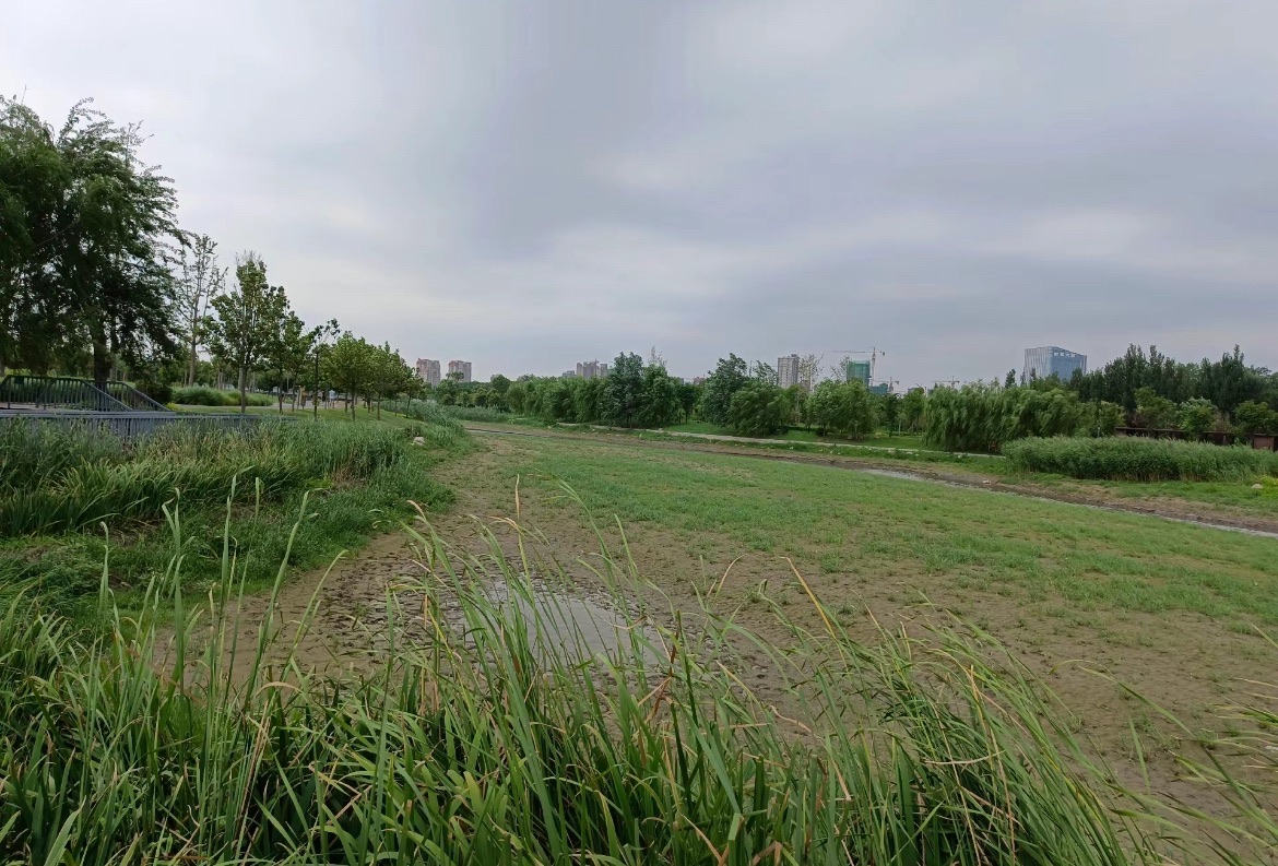 南湖公园旅行图片 2