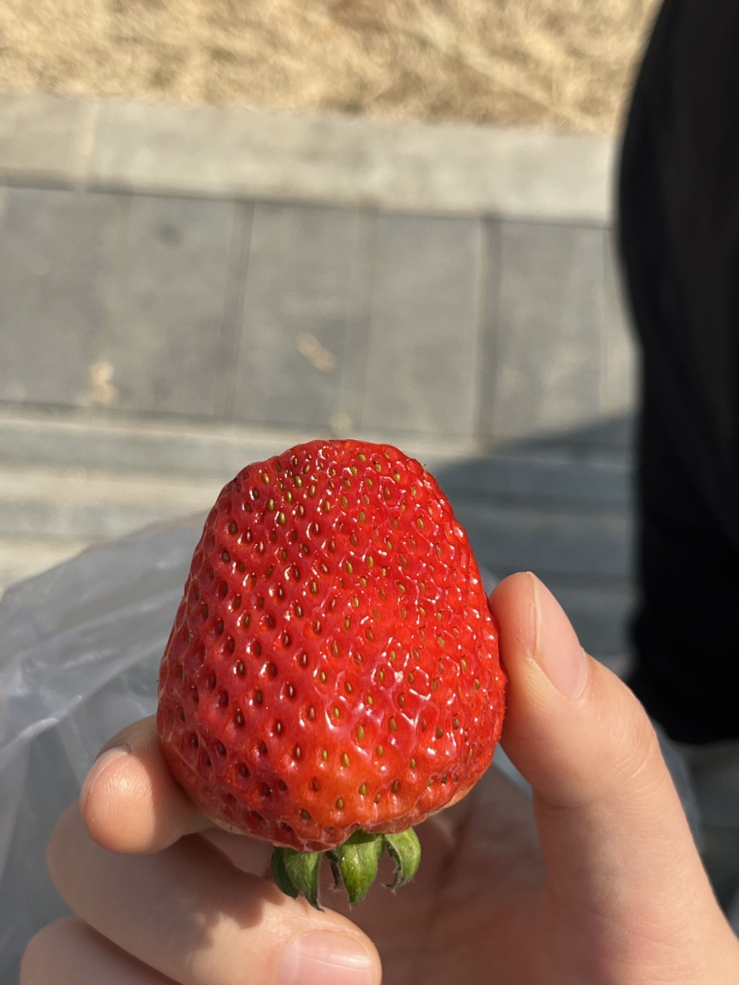 南湖公园旅行图片 1