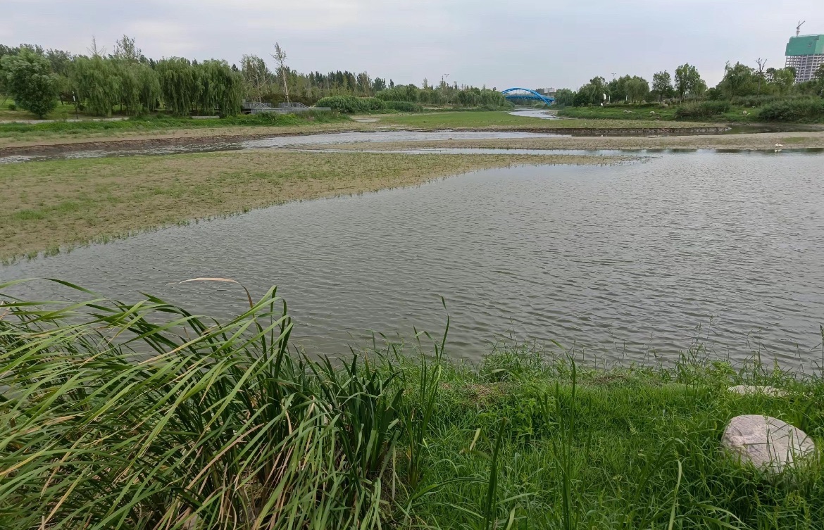 南湖公园旅行图片 1