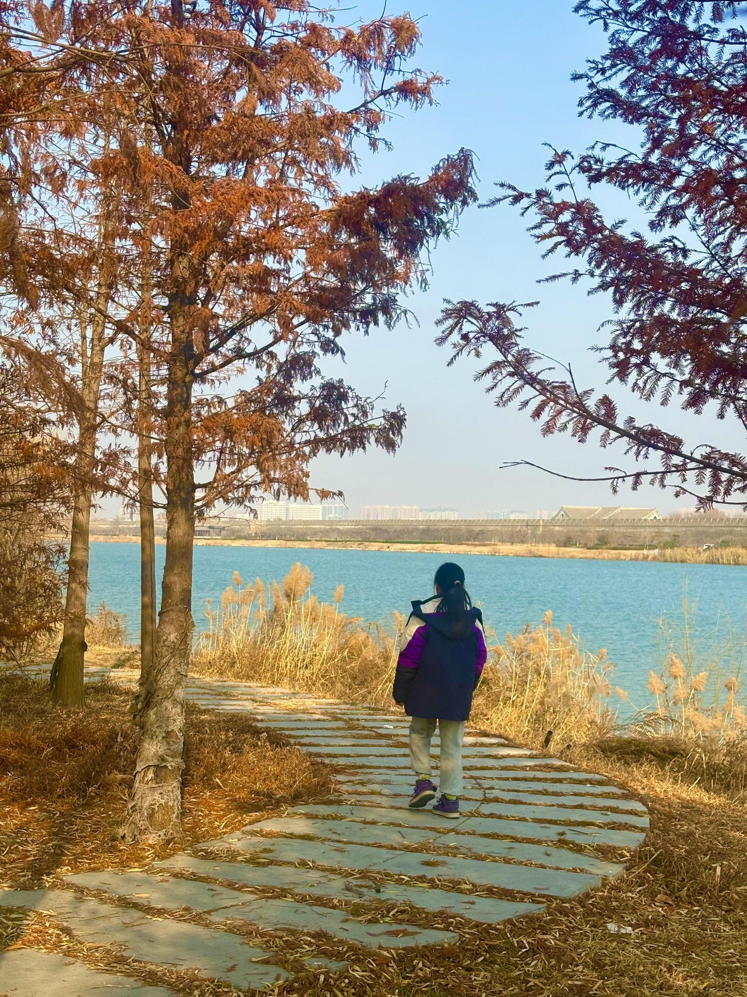 南湖公园旅行图片 3