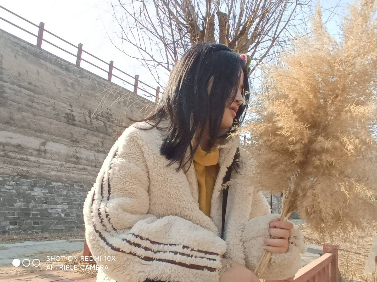 南湖公园旅行图片 2