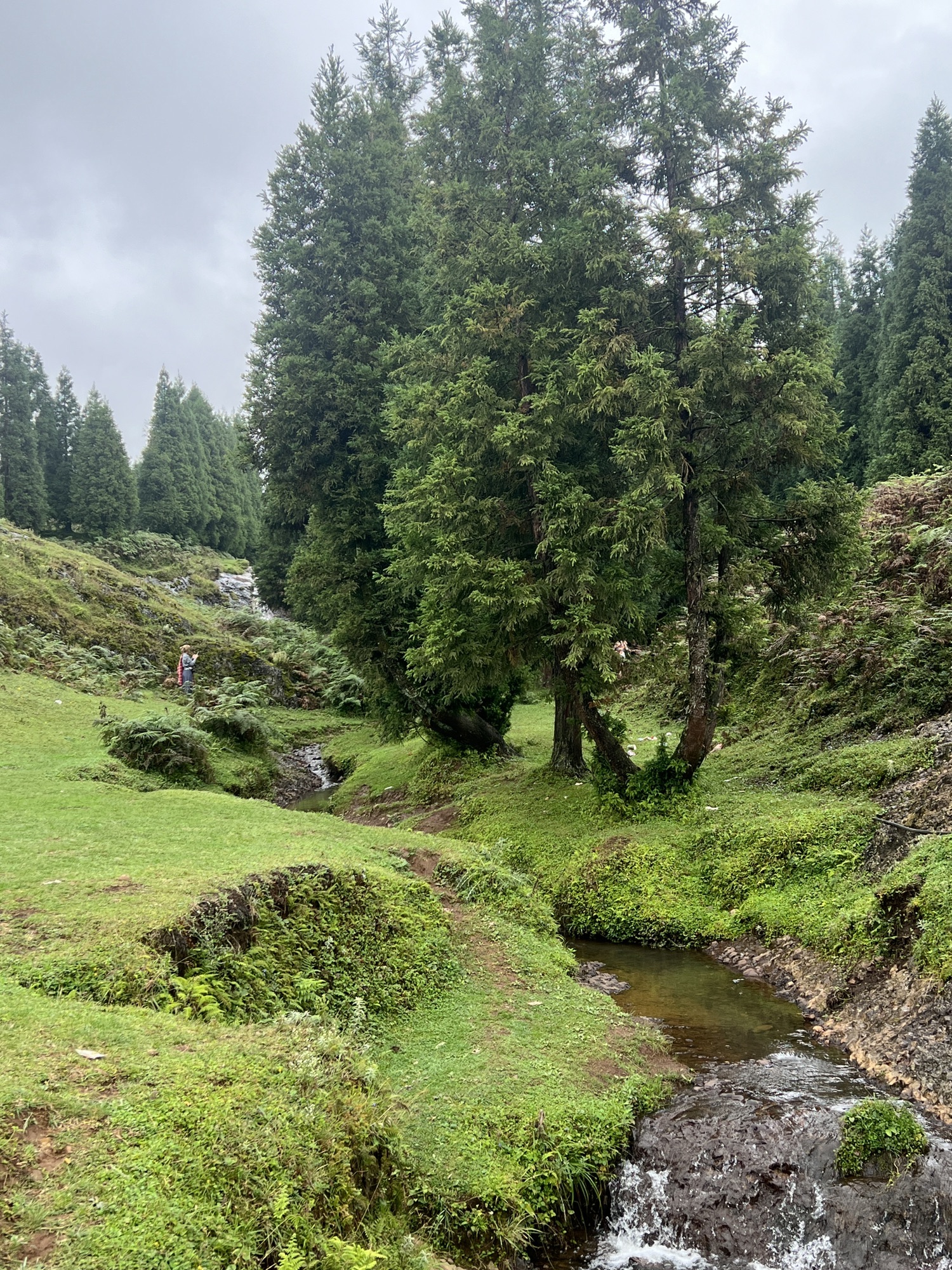 乌蒙大草原旅行图片 1