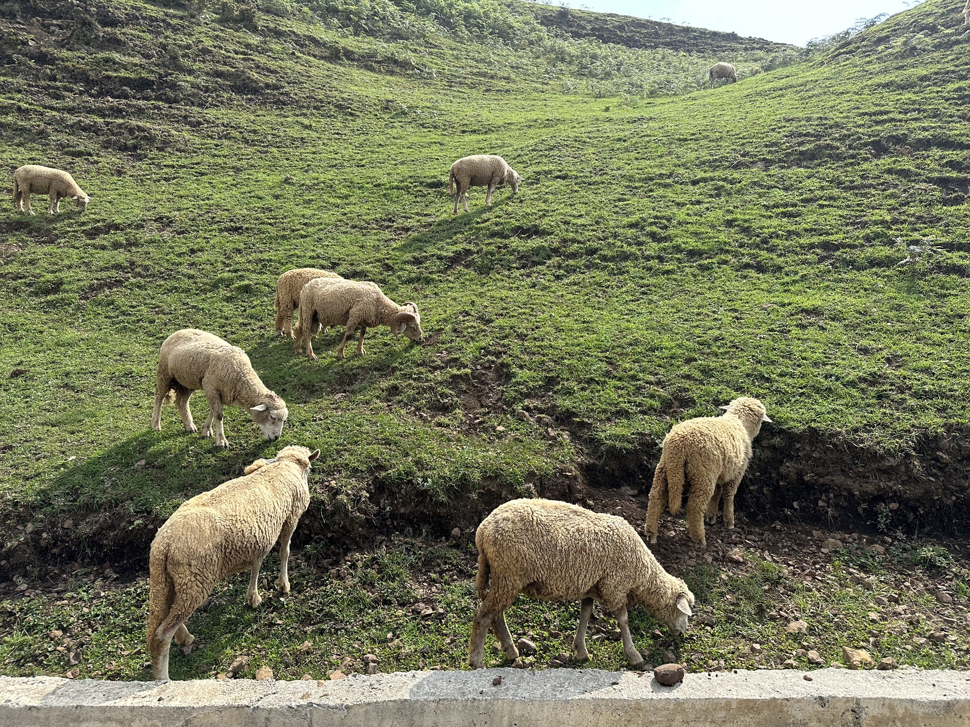 乌蒙大草原旅行图片 1