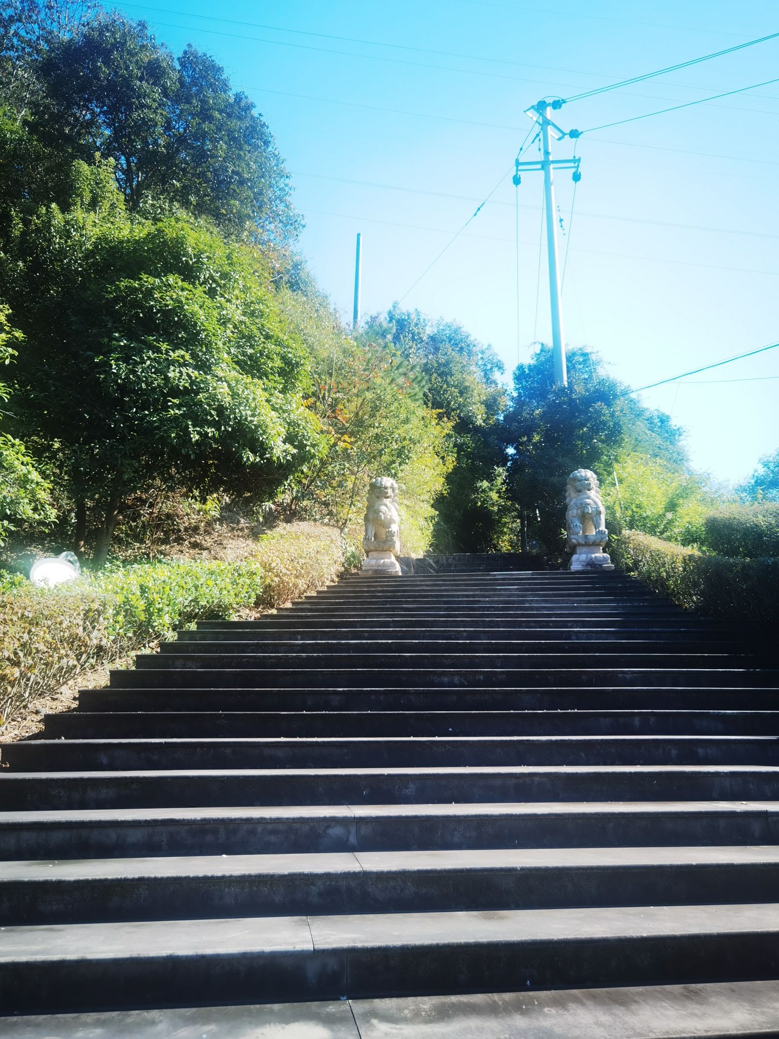 东山景区旅行图片 3