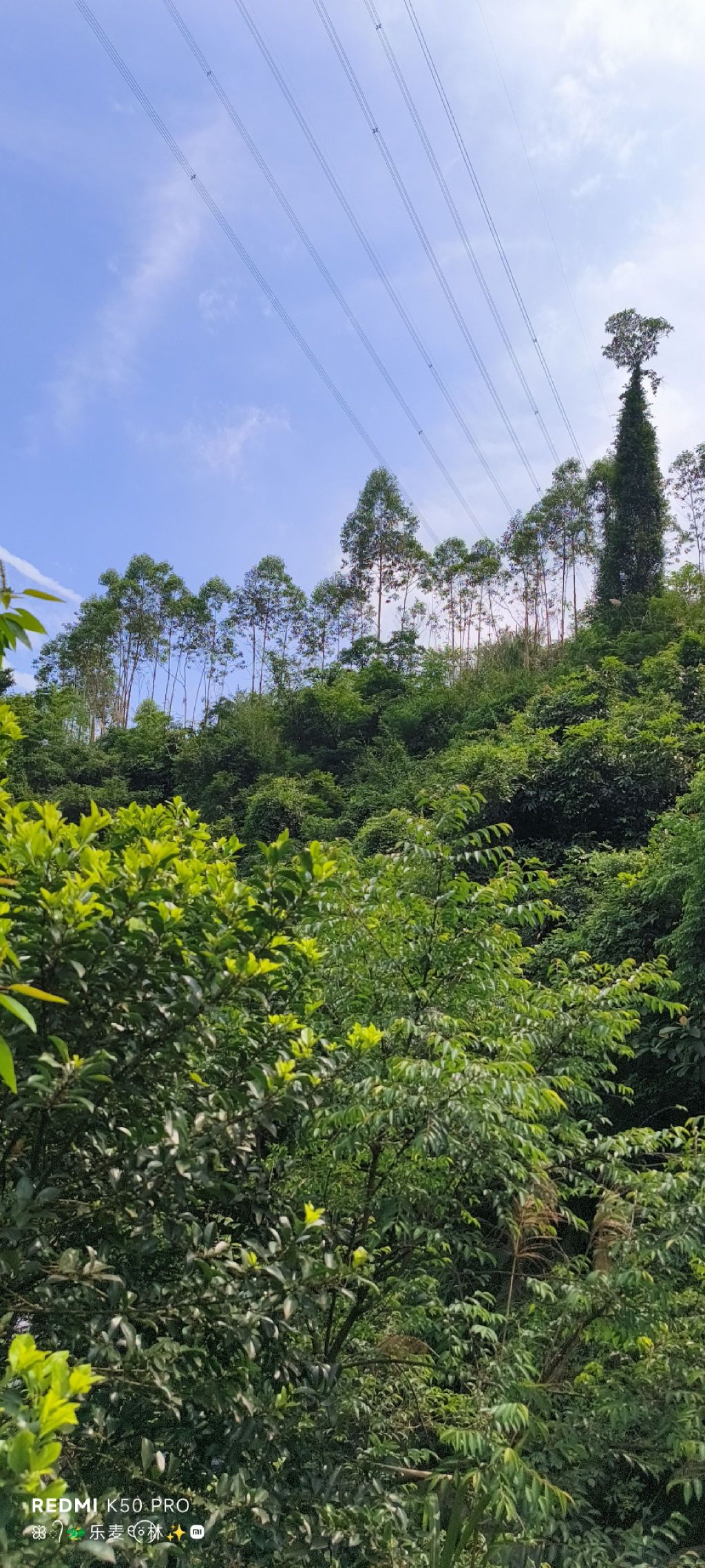 八怪谷旅行图片 3