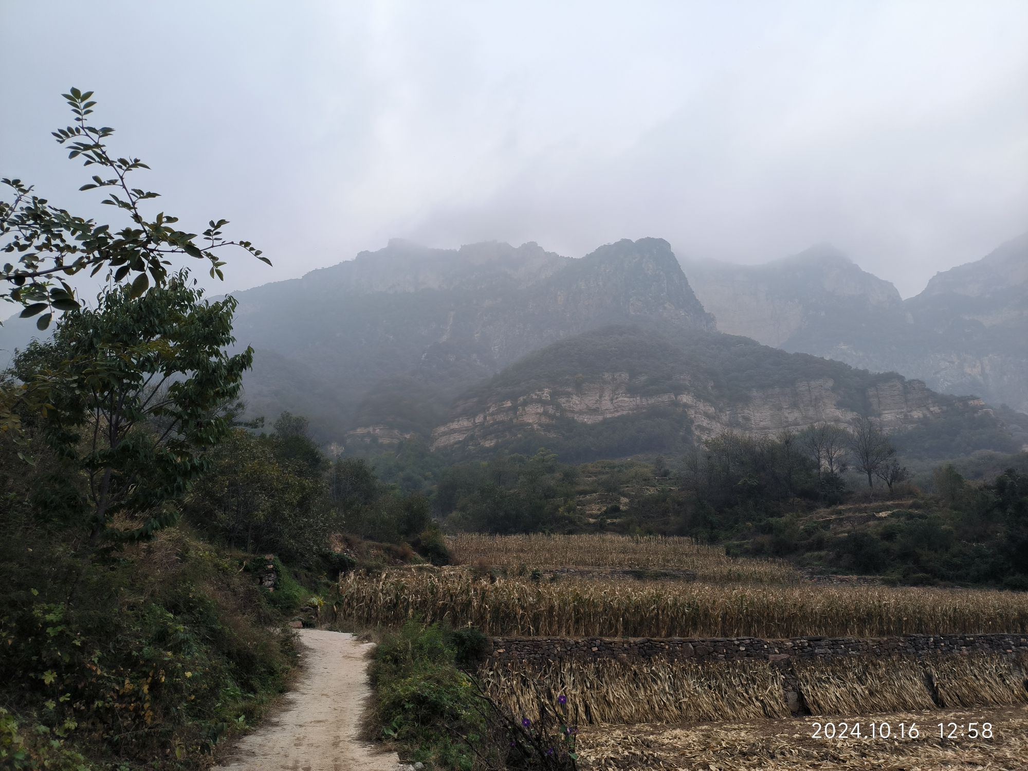 邢台黄榆岭旅行图片 3
