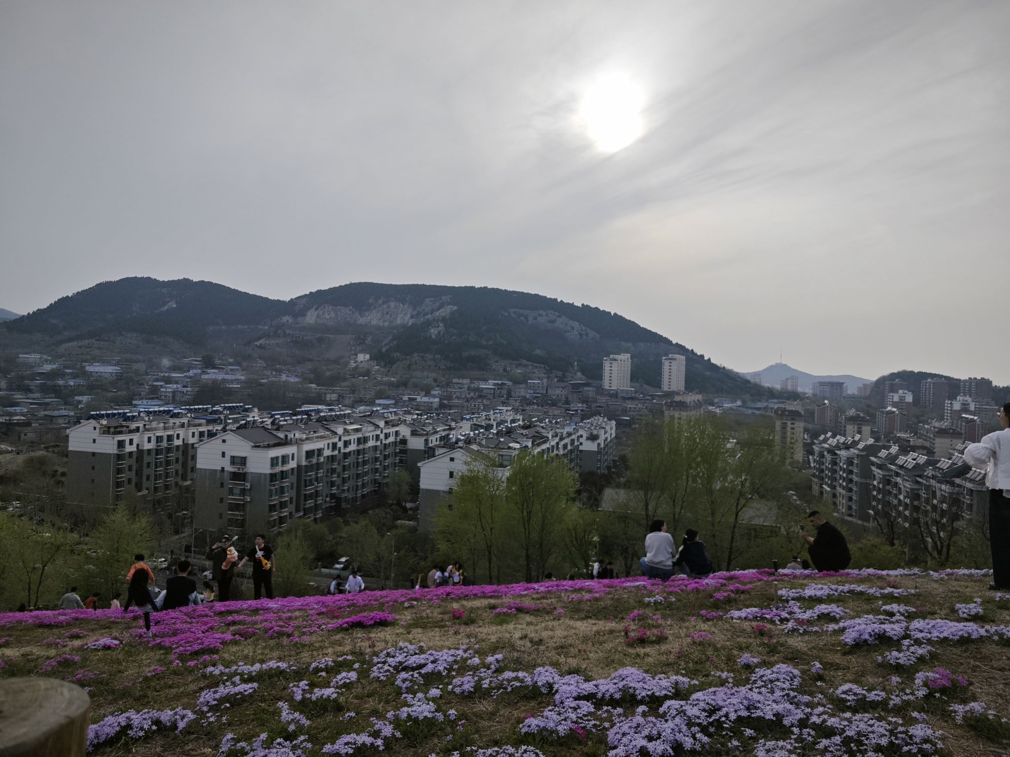 牧牛山山体公园旅行图片 3