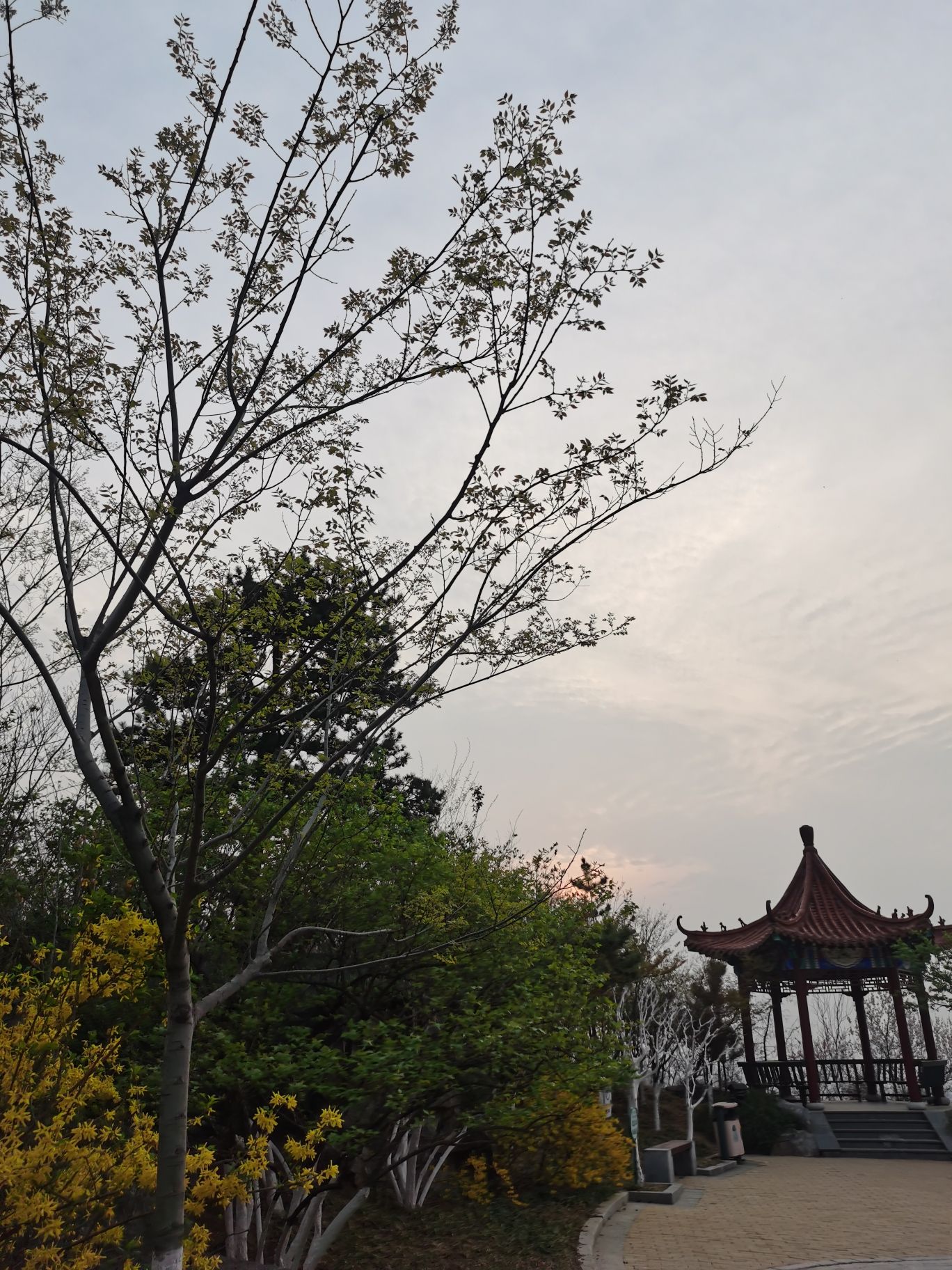 牧牛山山体公园旅行图片 1