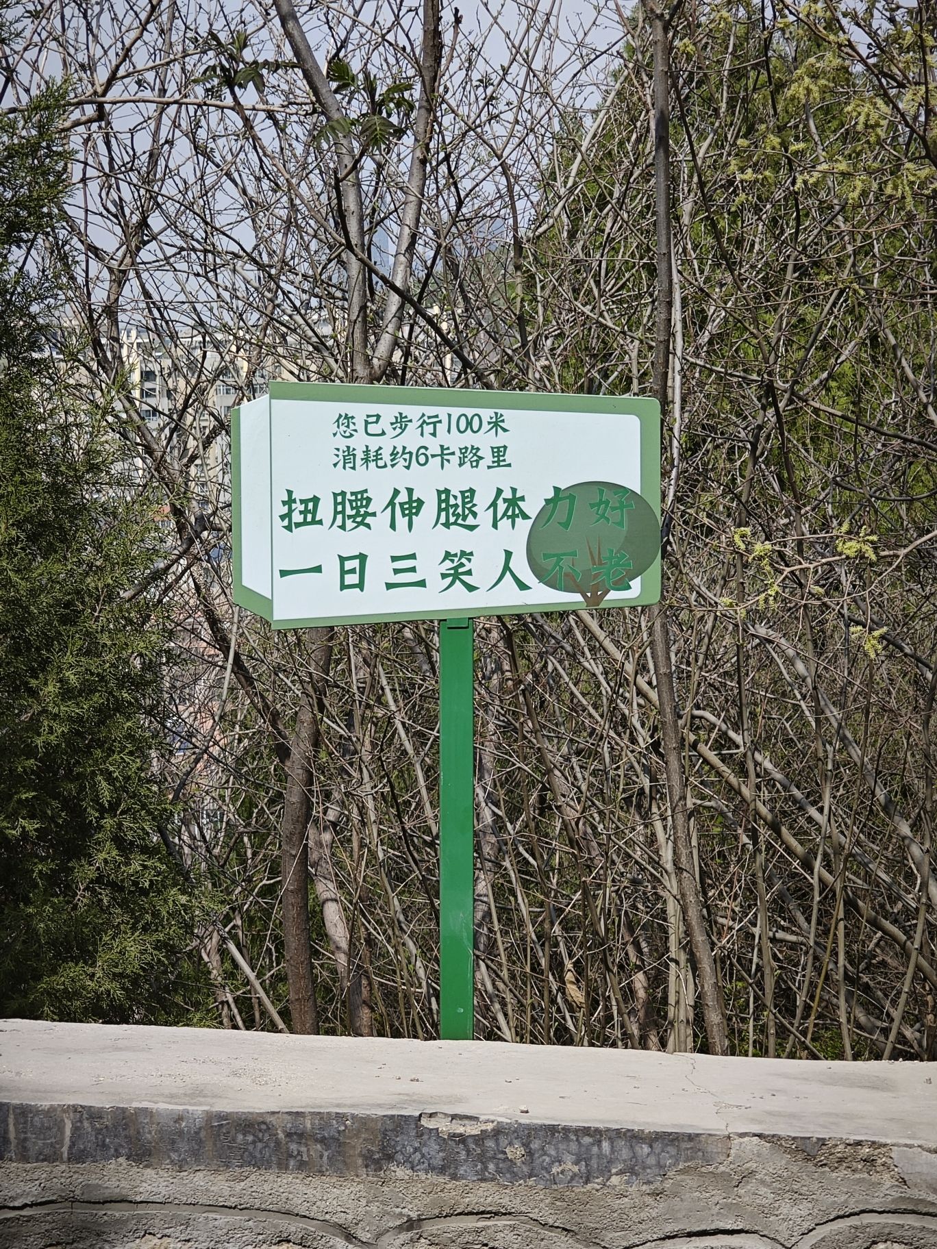 牧牛山山体公园旅行图片 2