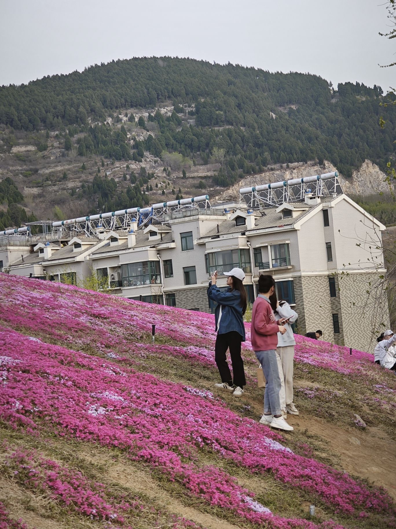牧牛山山体公园旅行图片 1