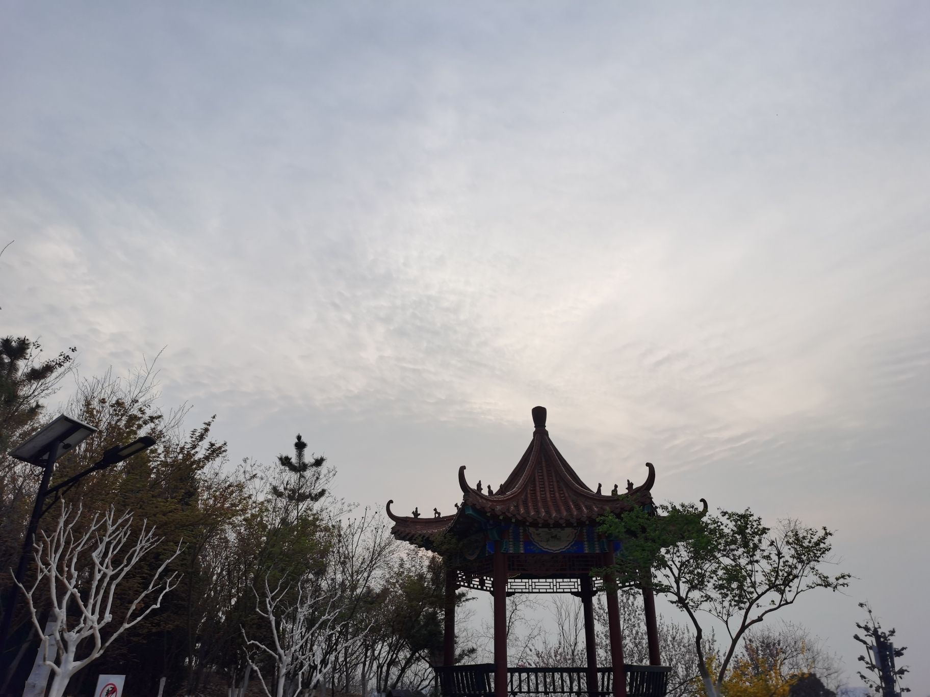 牧牛山山体公园旅行图片 3