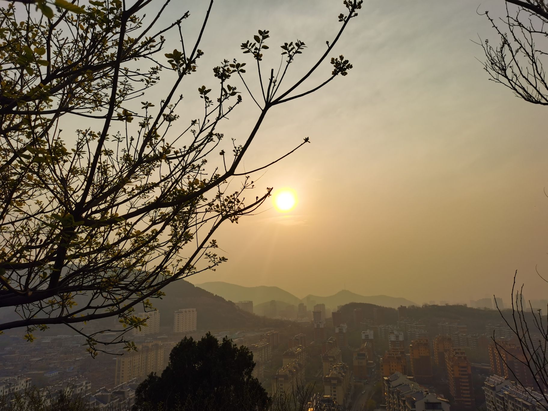 牧牛山山体公园旅行图片 2