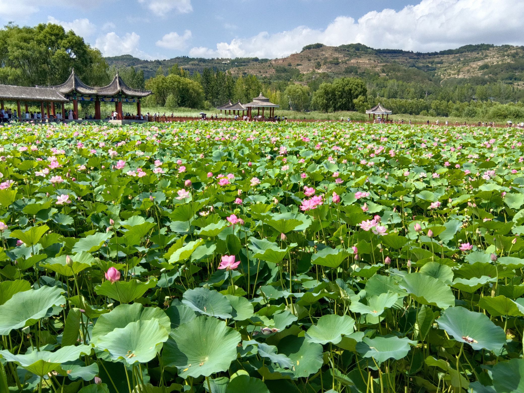 晚霞湖国家水利风景区