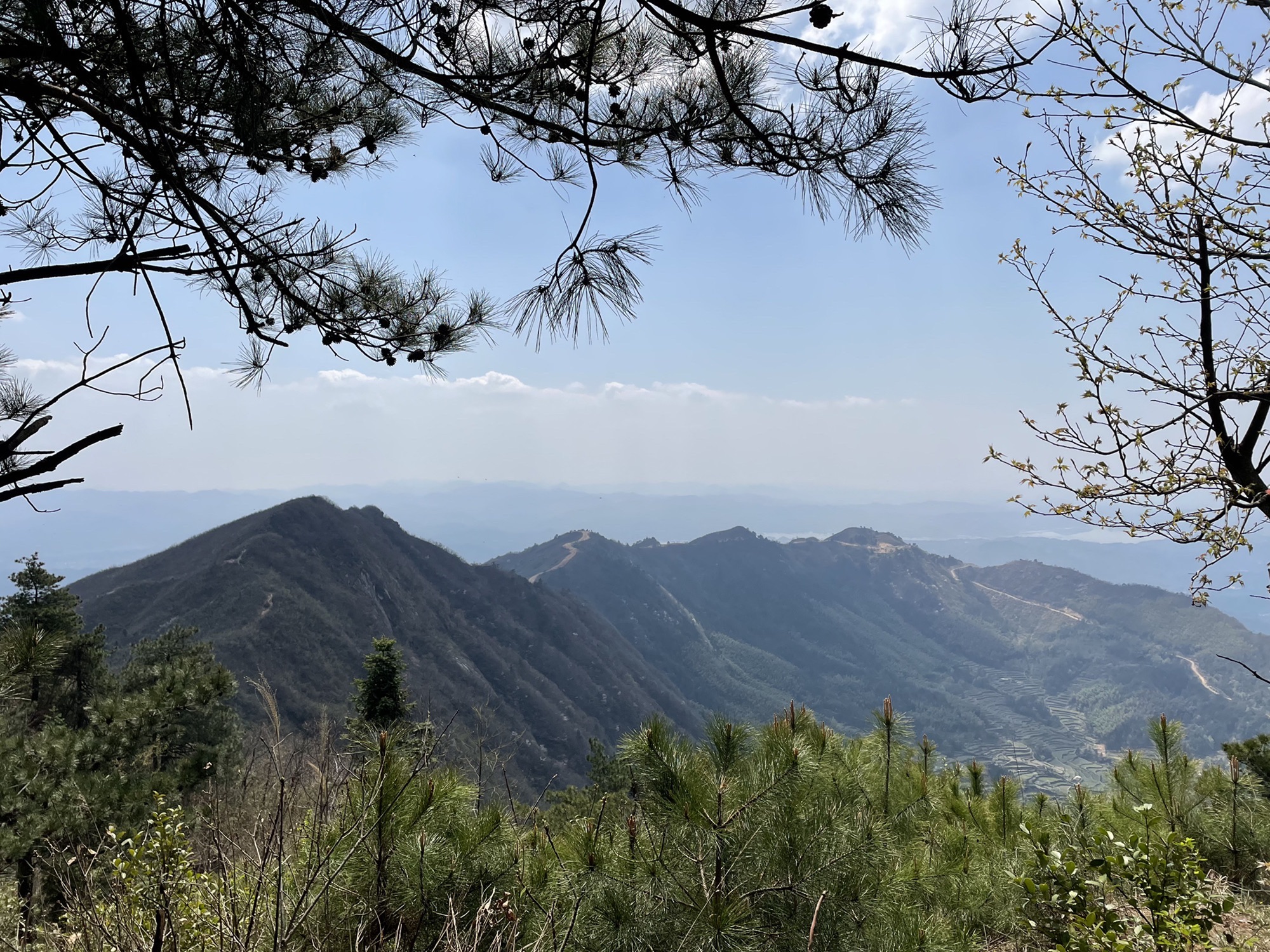 相思山景区旅行图片 1