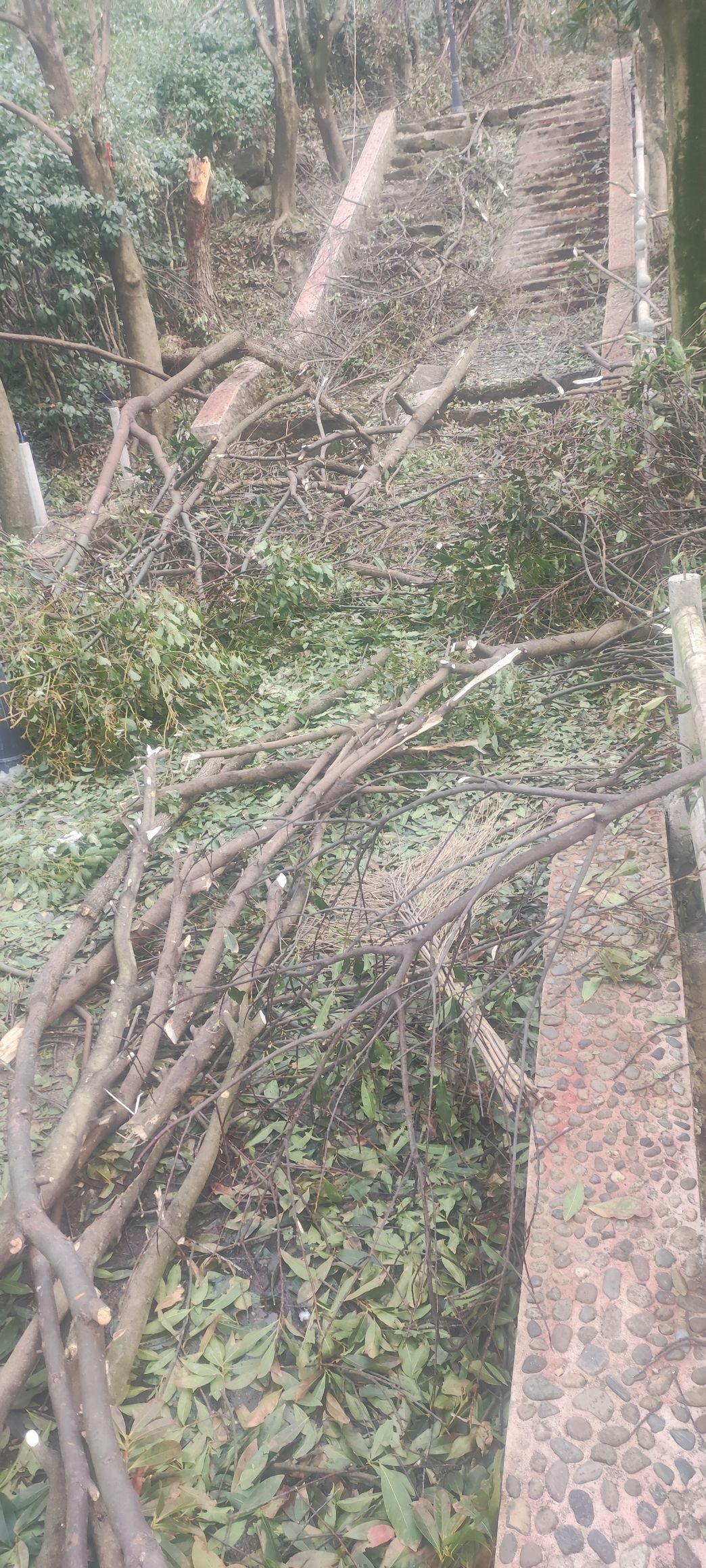 相思山景区旅行图片 1