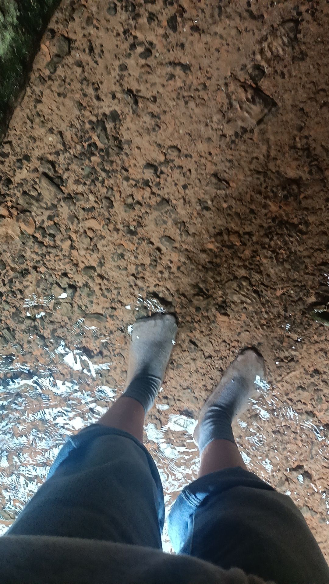 鹭岛湿地旅行图片 2