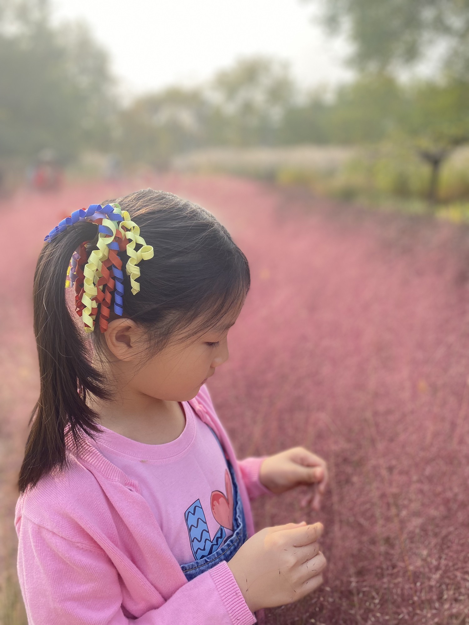 芊卉园旅行图片 1
