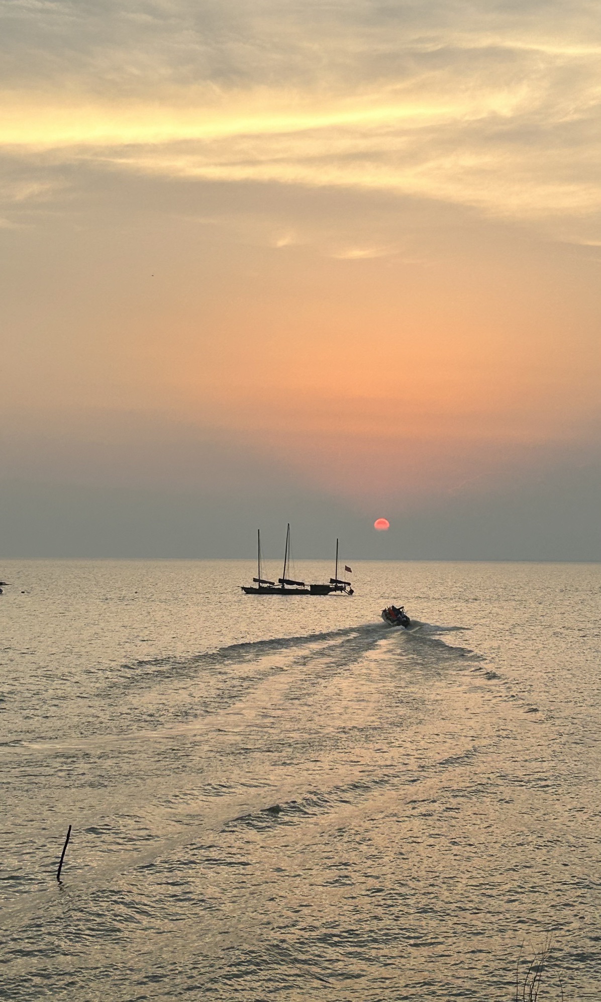 杨家坞遗址旅行图片 3