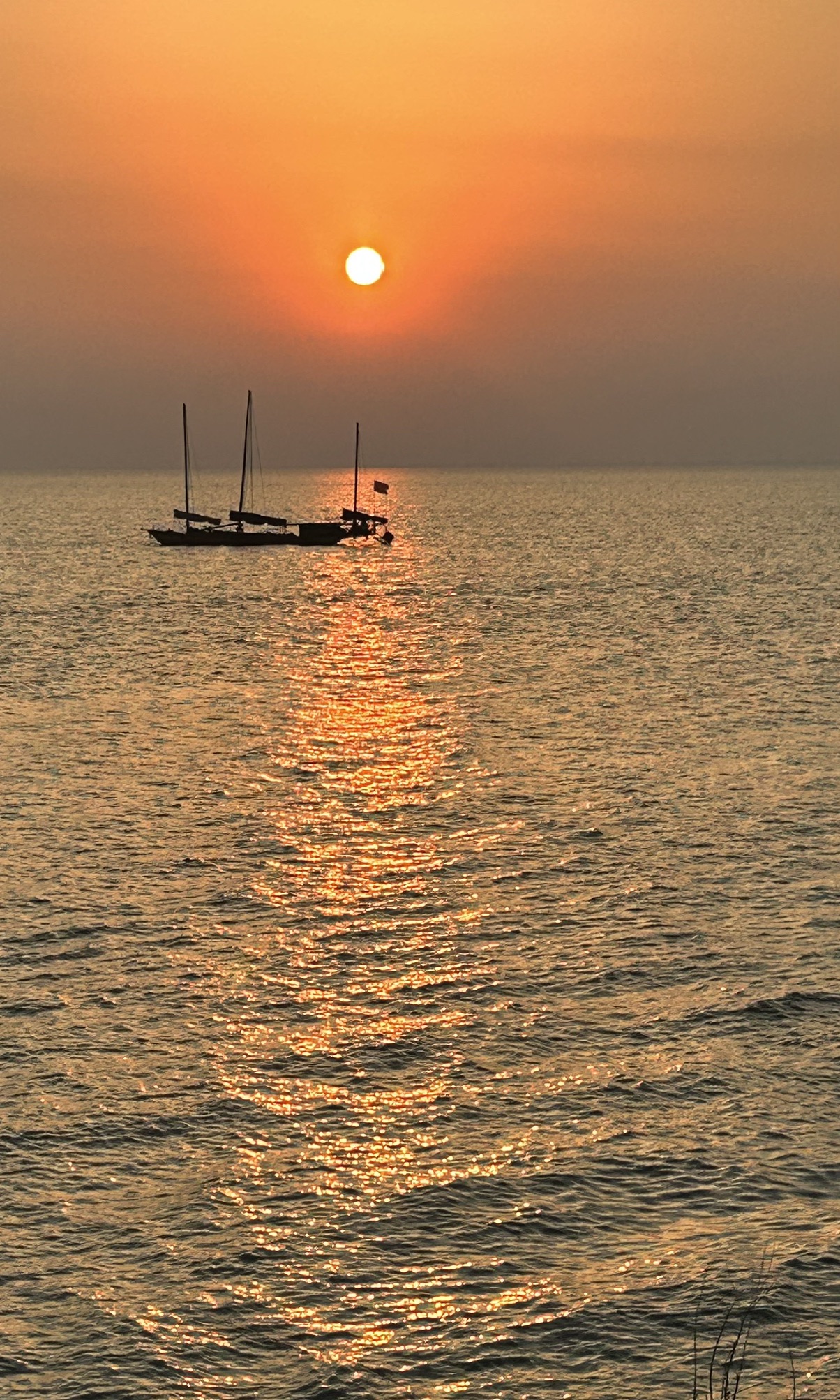 杨家坞遗址旅行图片 1