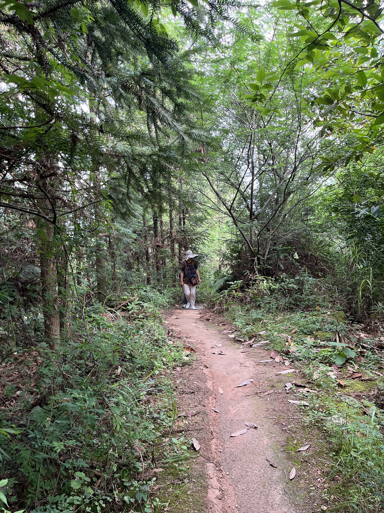 培风塔旅行图片 1