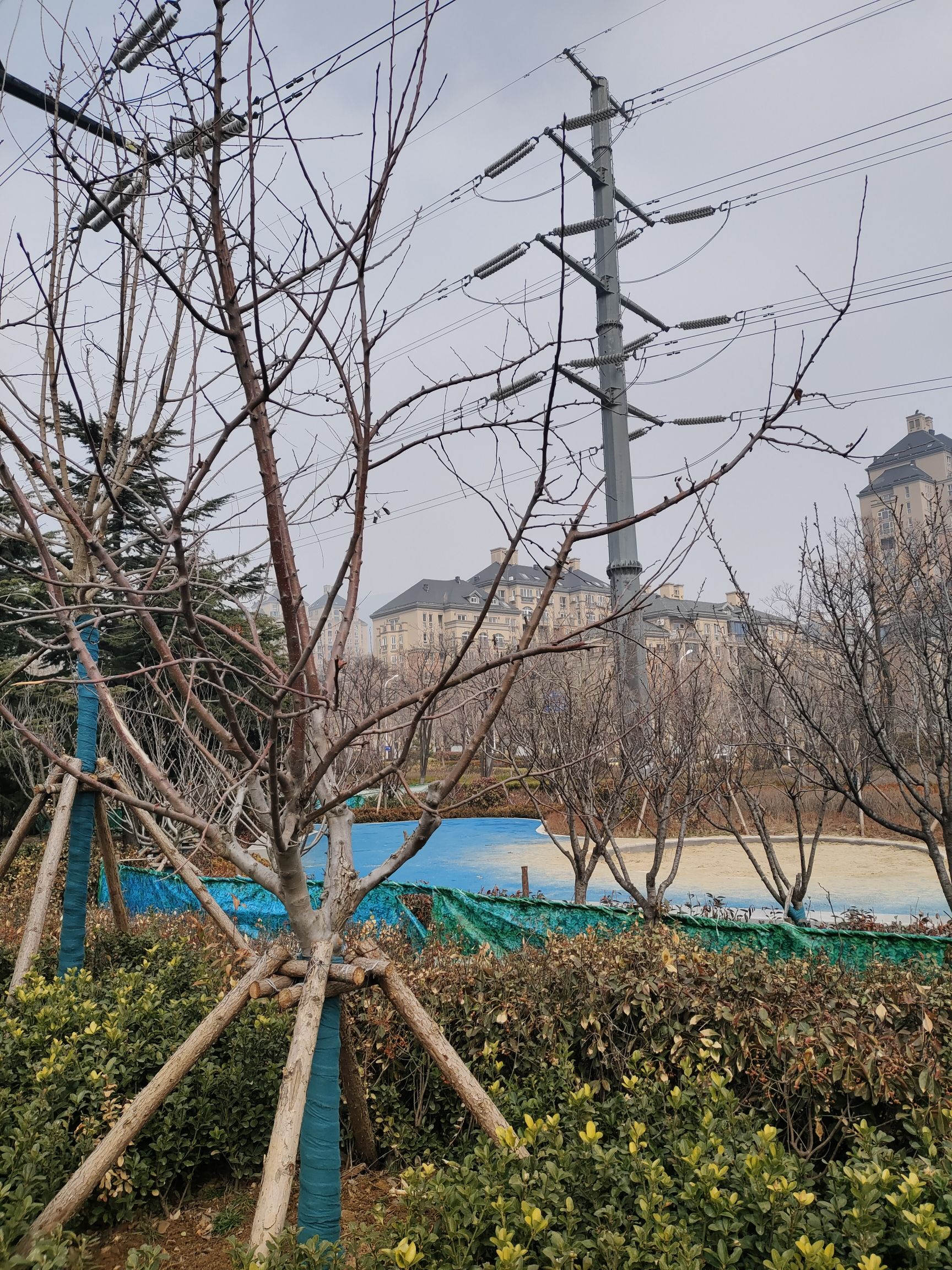 李沧区健康主题公园旅行图片 3