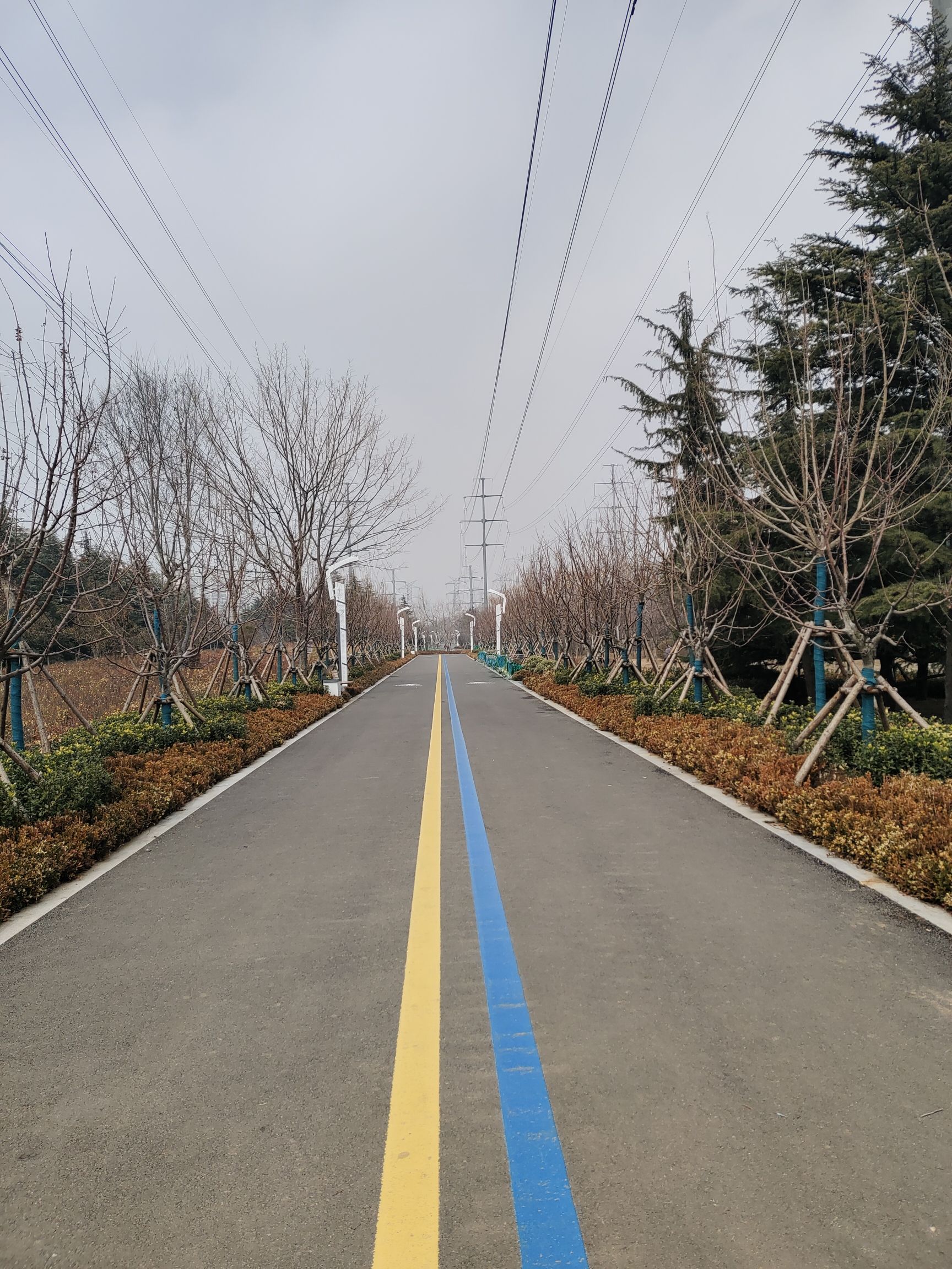 李沧区健康主题公园旅行图片 1