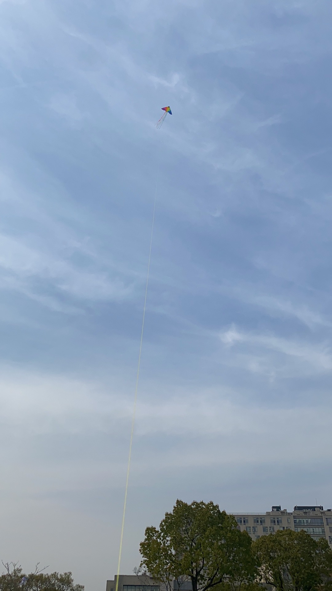 浦锦绿地旅行图片 1