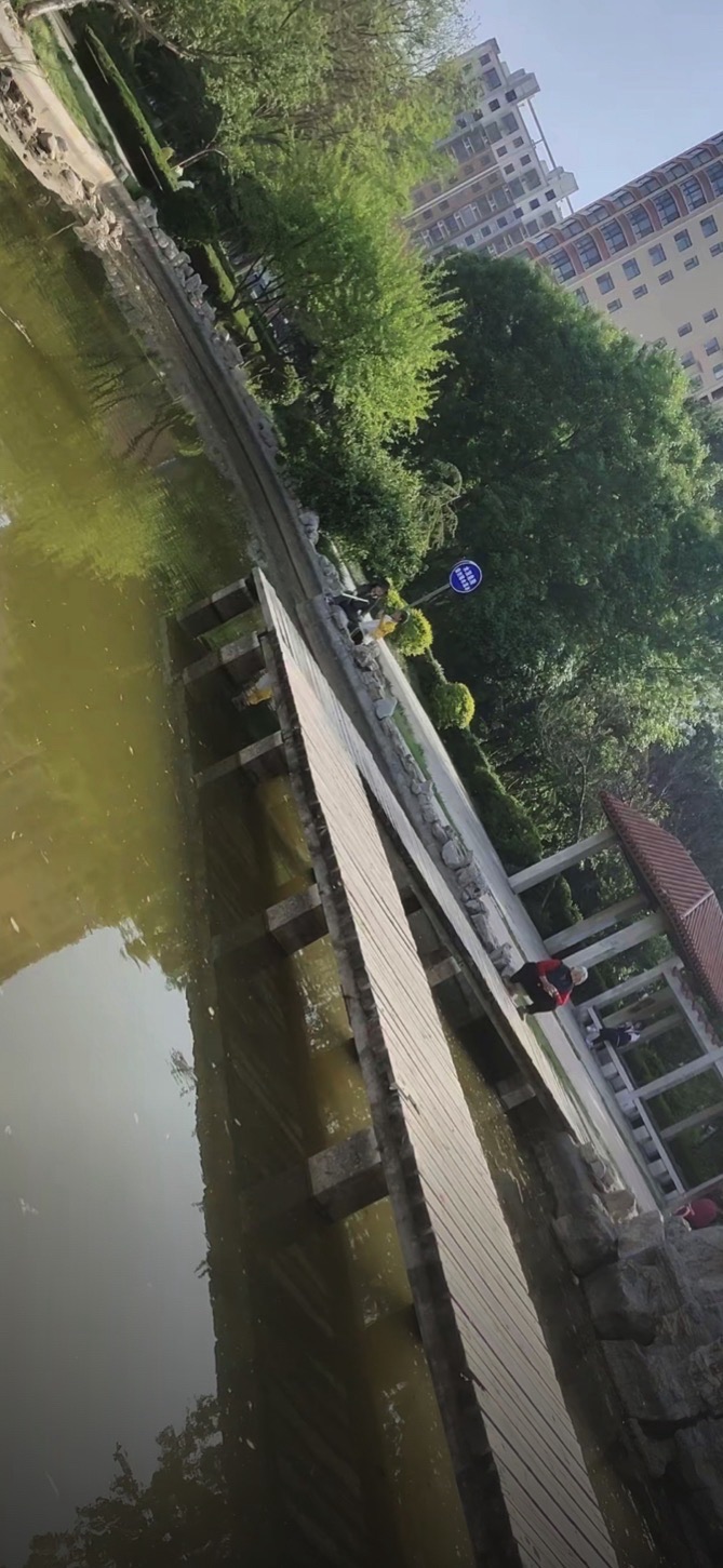 武训公园旅行图片 2