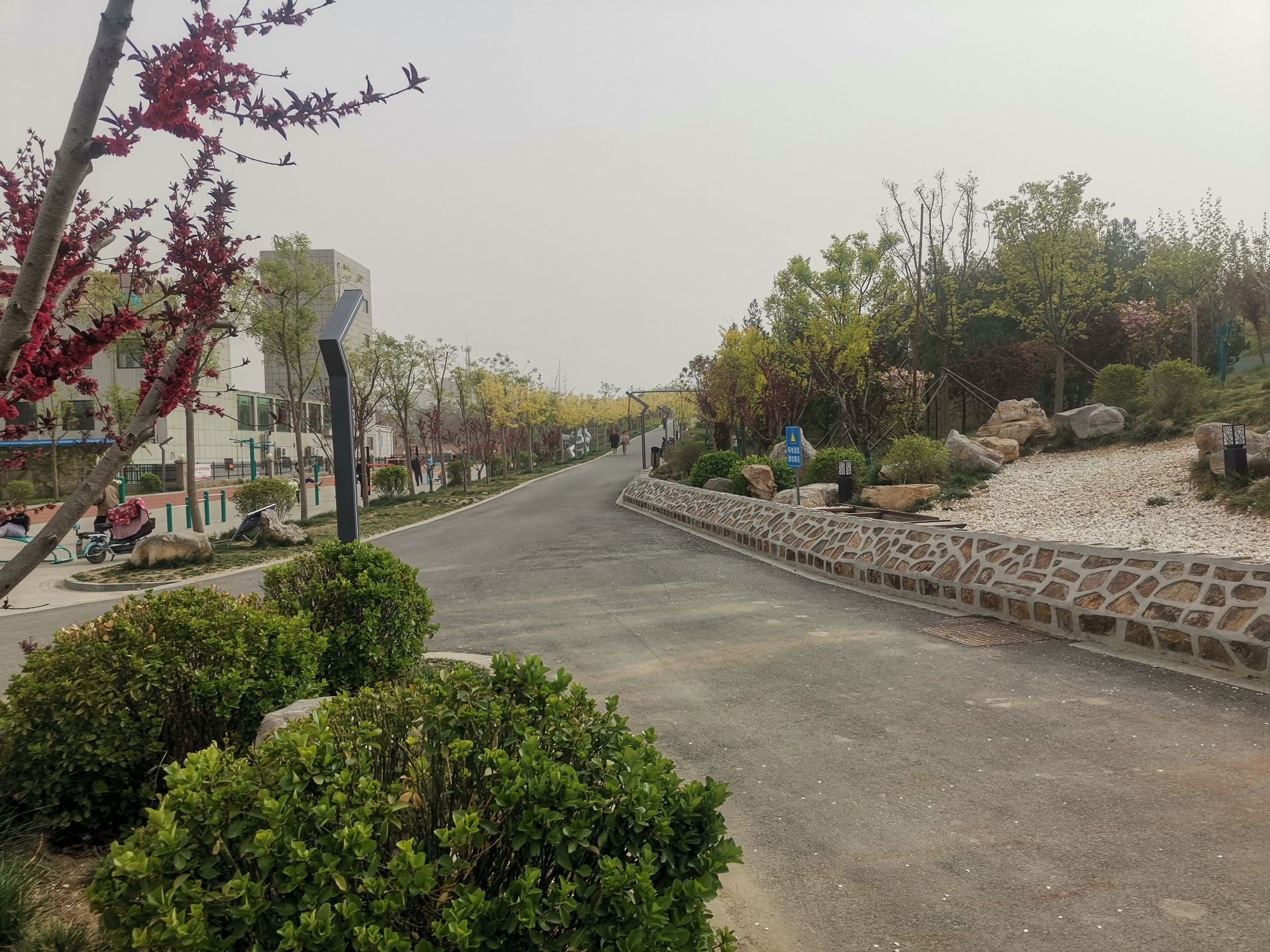 龙山公园旅行图片 3