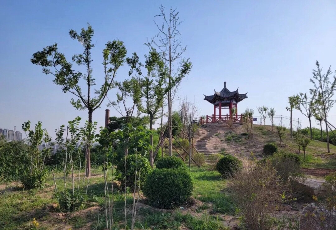龙山公园旅行图片 2