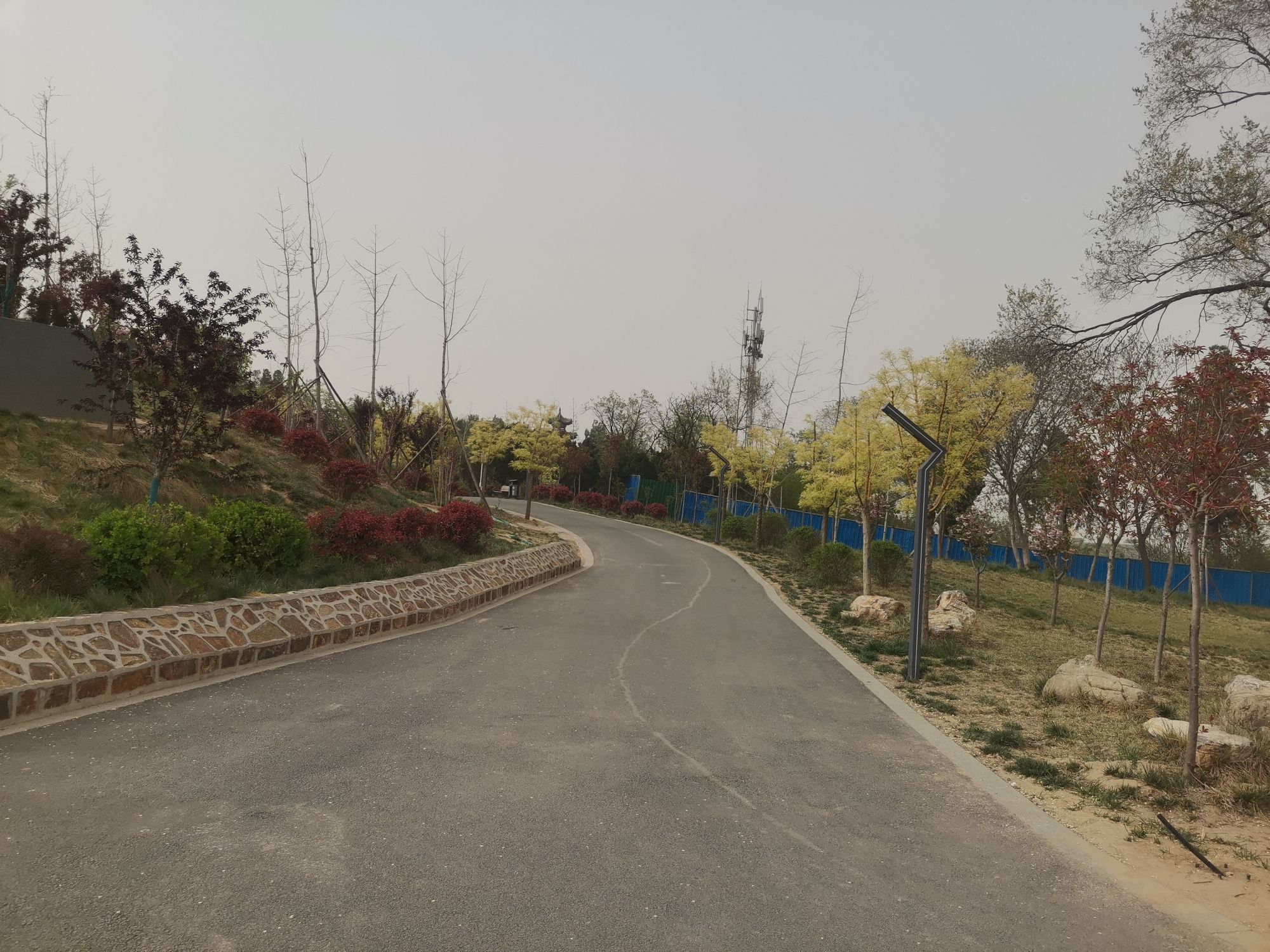 龙山公园旅行图片 2