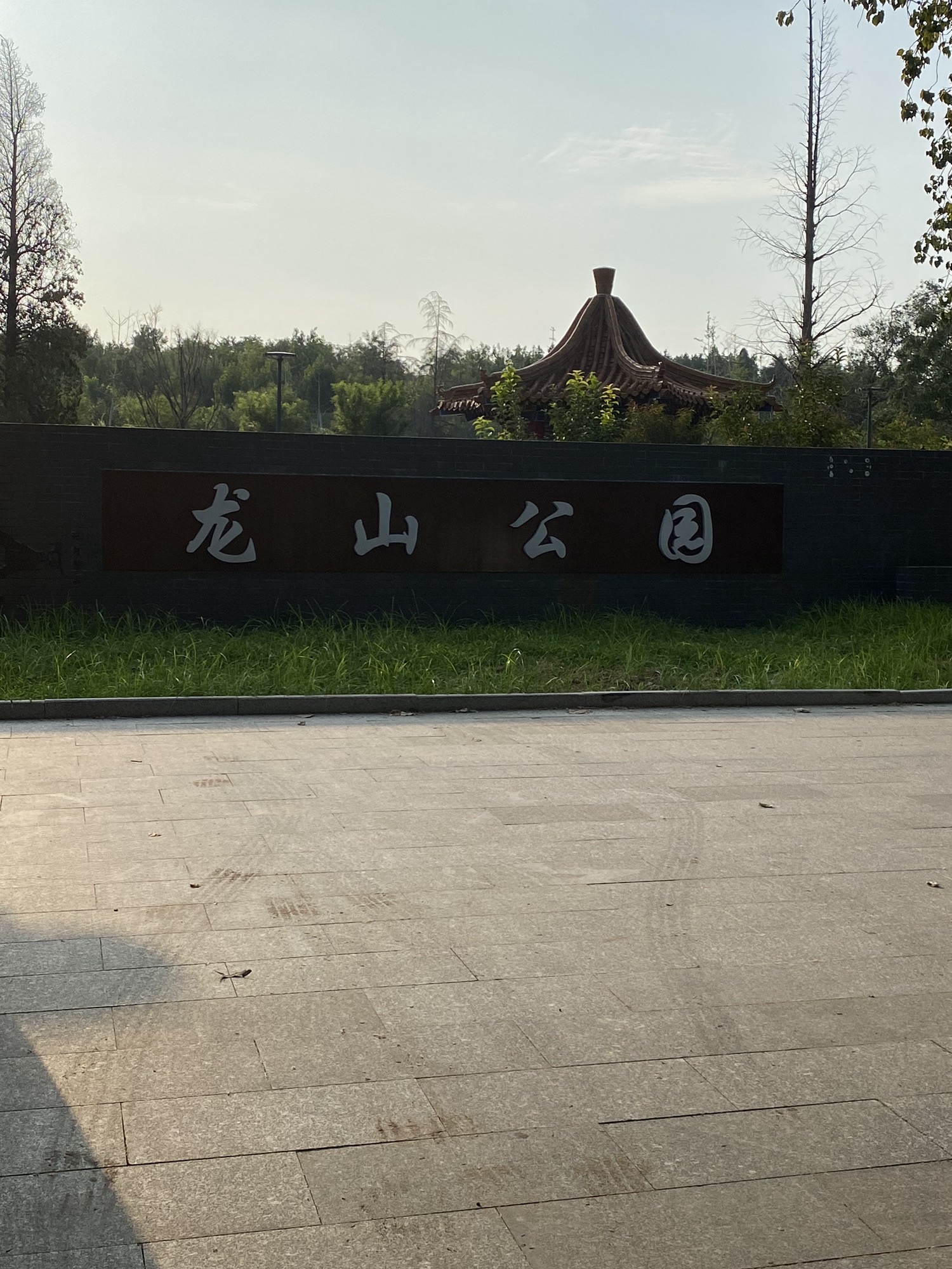 龙山公园旅行图片 1