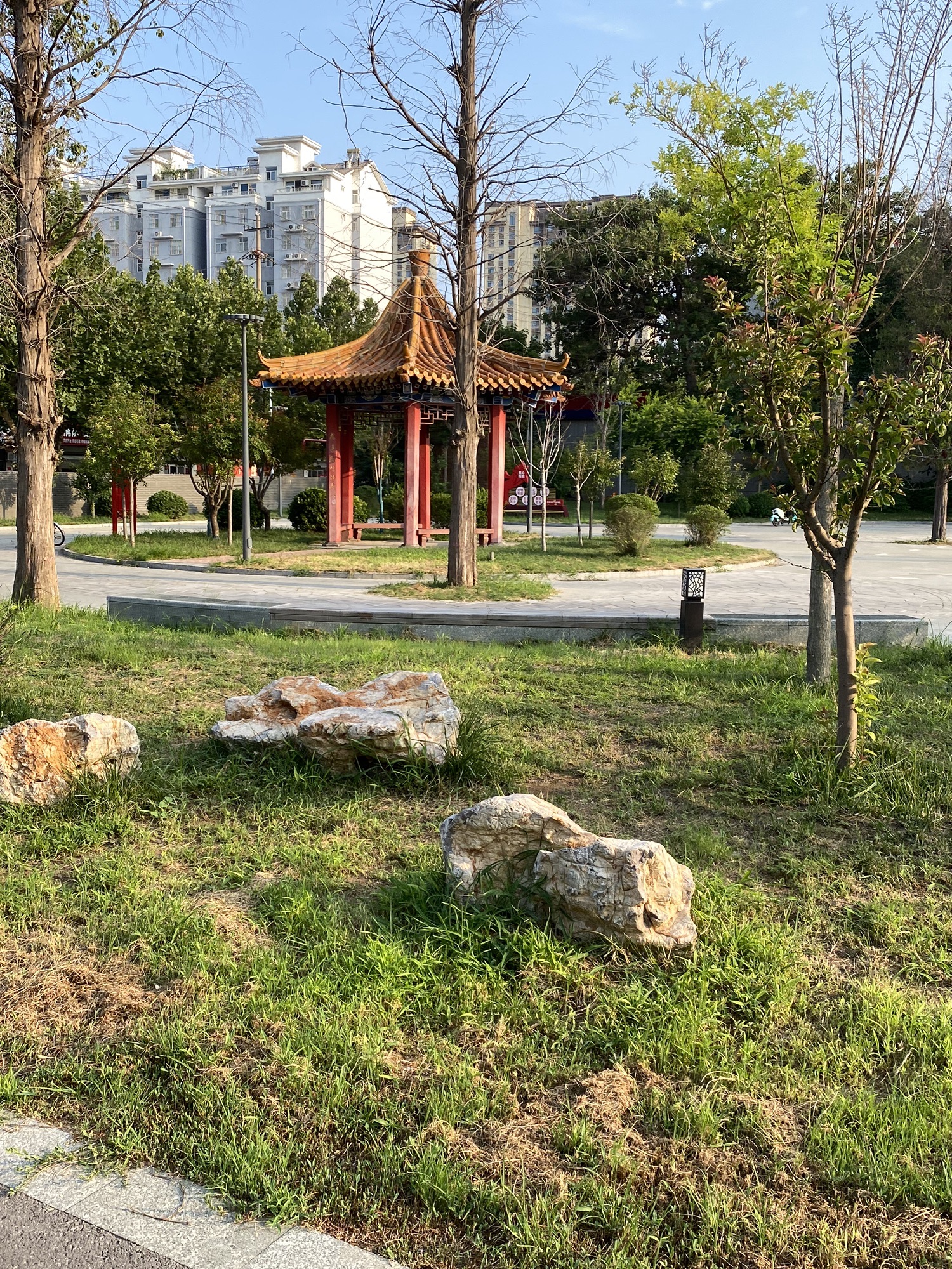 龙山公园旅行图片 3