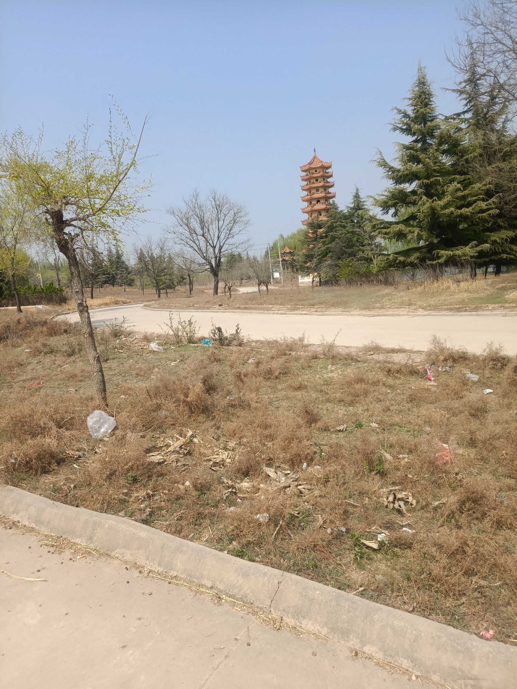 双龙湖湿地公园旅行图片 3