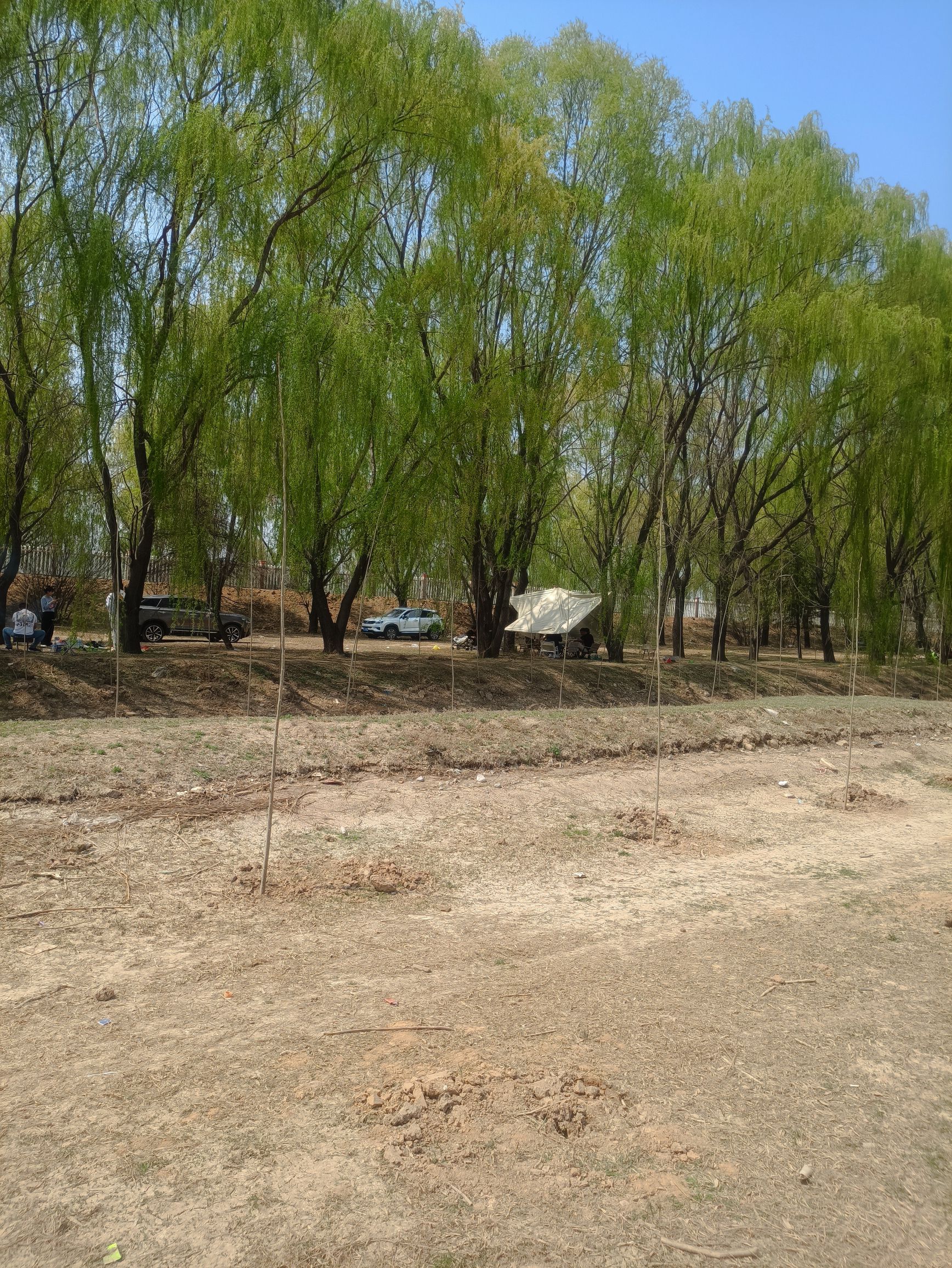 双龙湖湿地公园