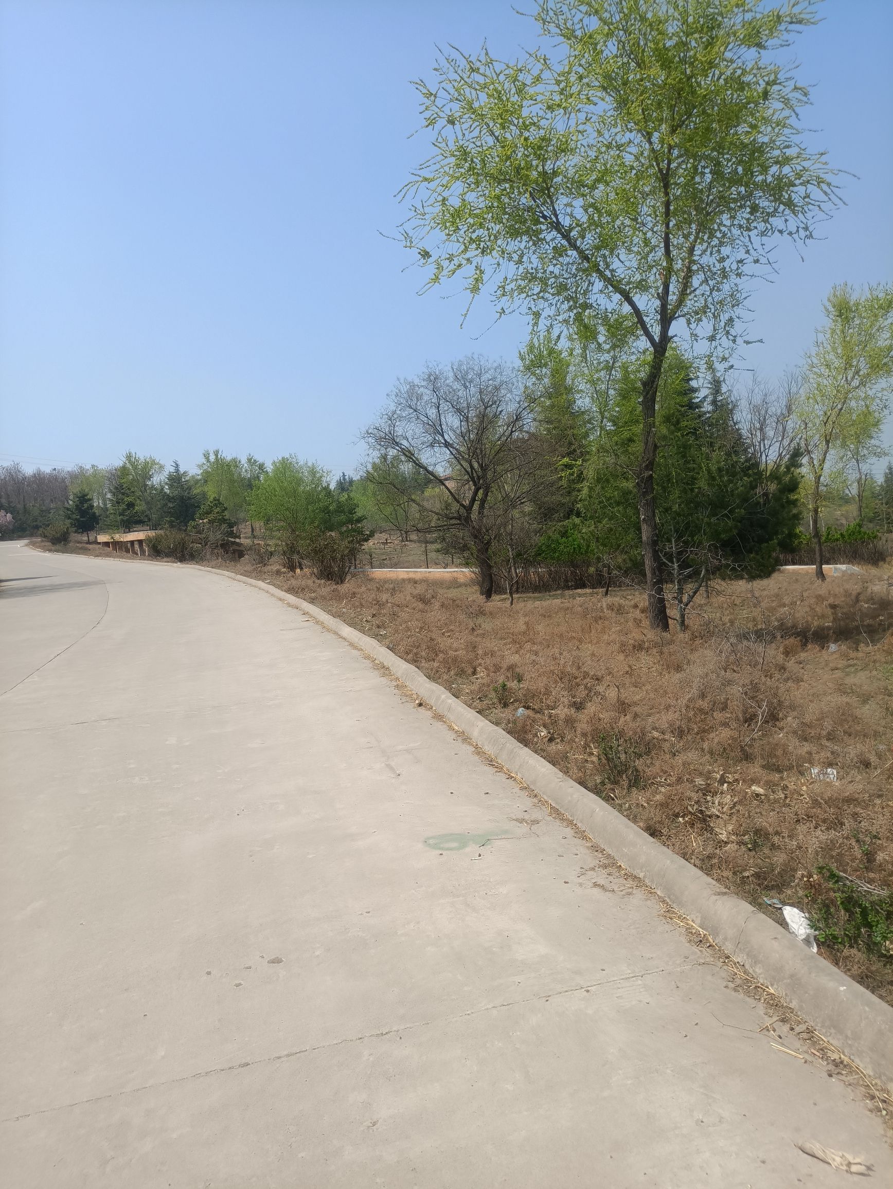 双龙湖湿地公园旅行图片 2