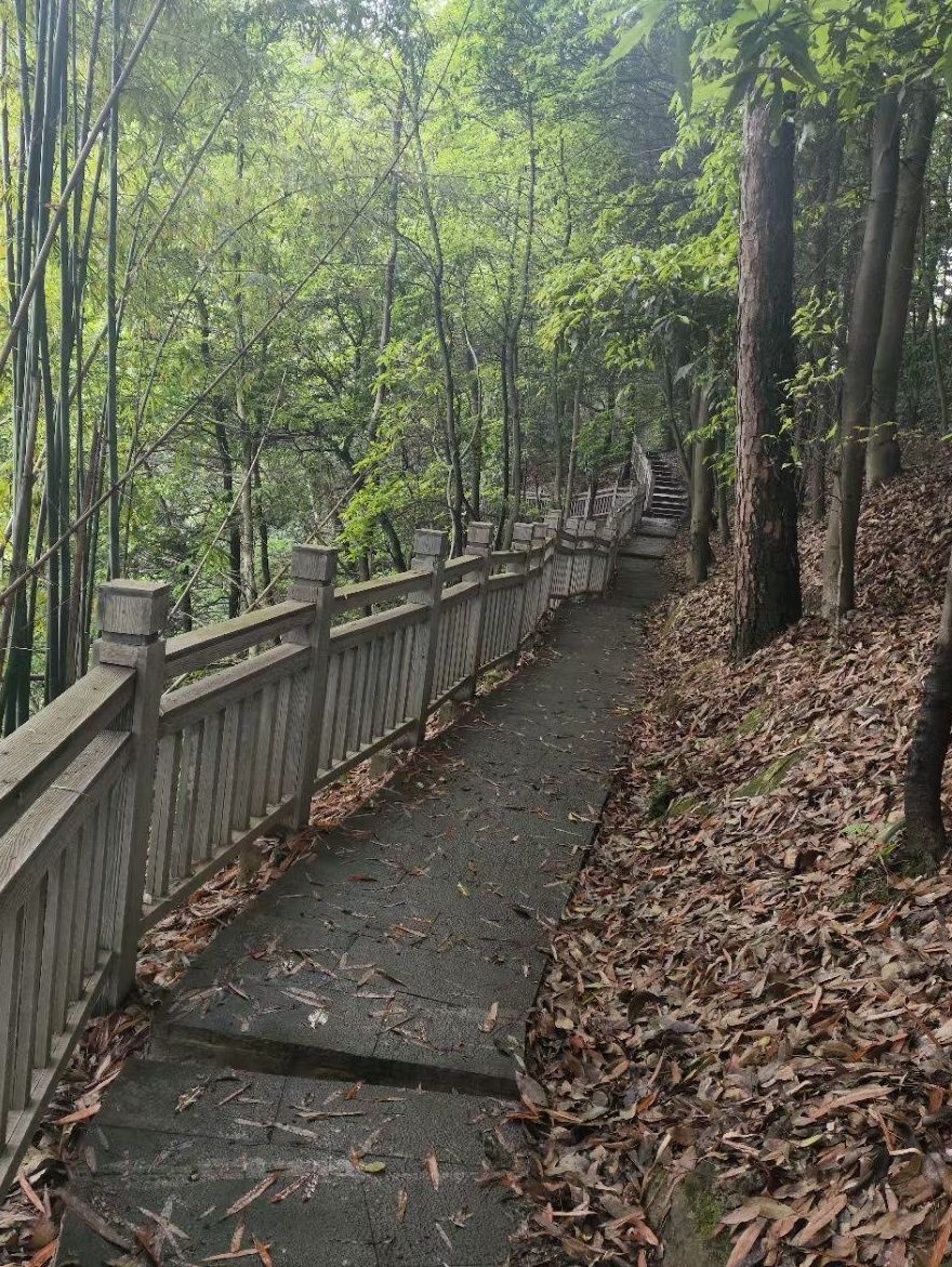 森林公园旅行图片 2