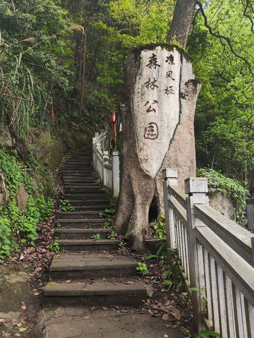 森林公园旅行图片 3