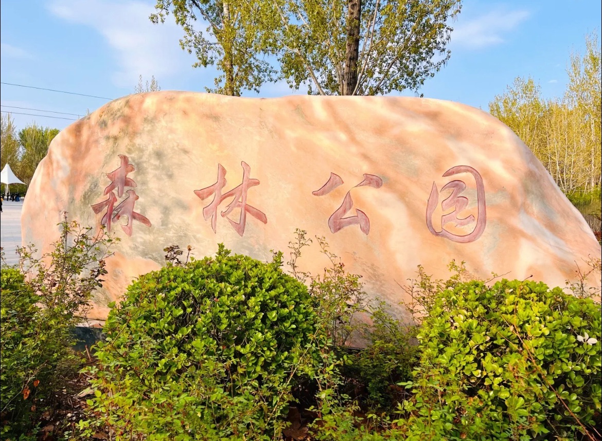 森林公园旅行图片 1
