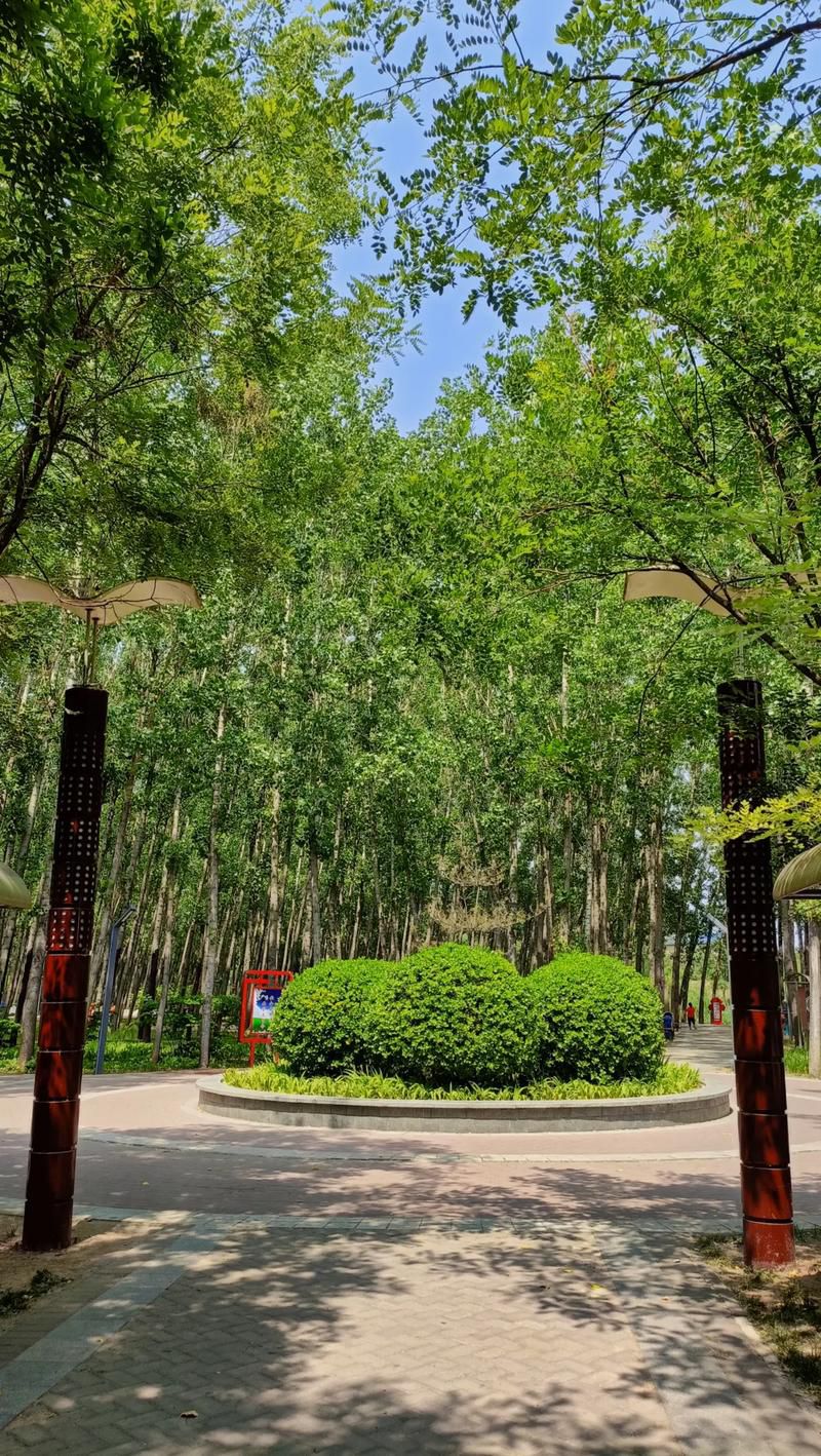 森林公园旅行图片 1