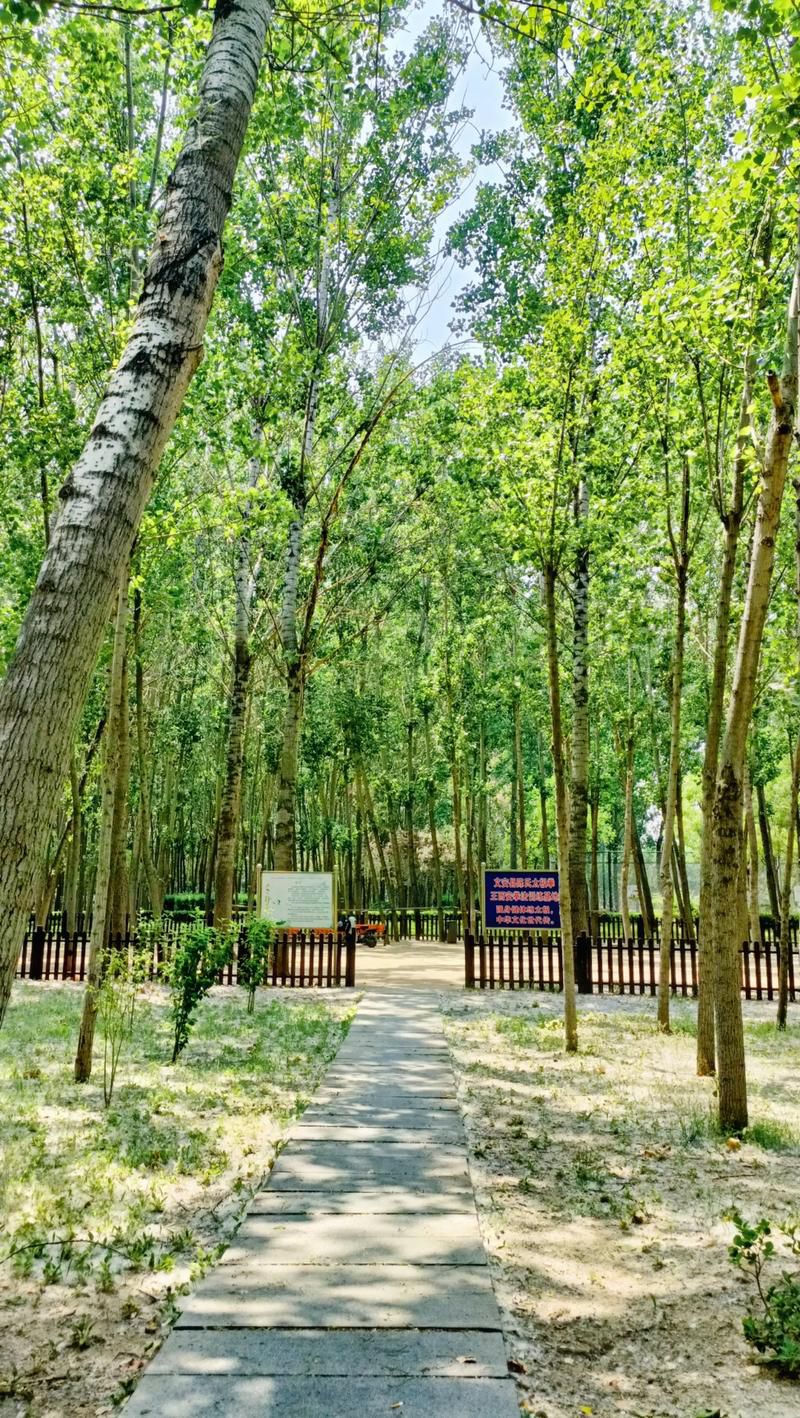 森林公园旅行图片 2