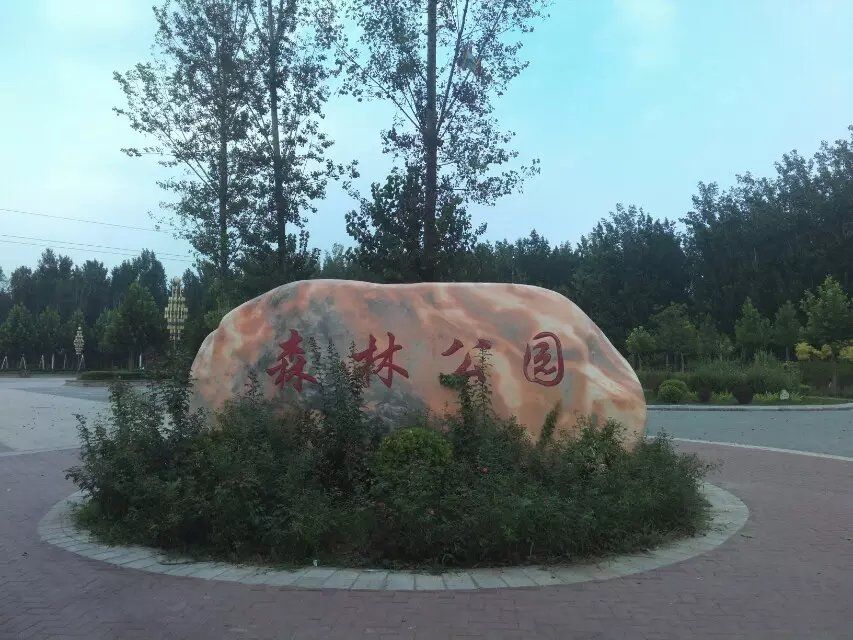森林公园旅行图片 1