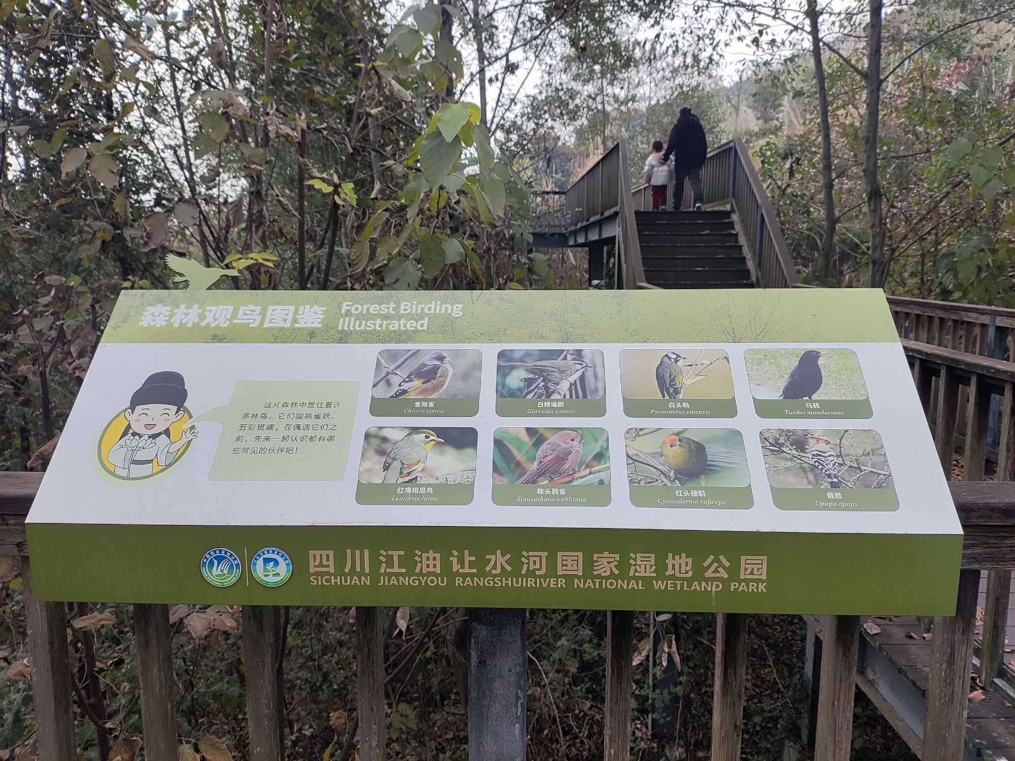 让水河公园旅行图片 2