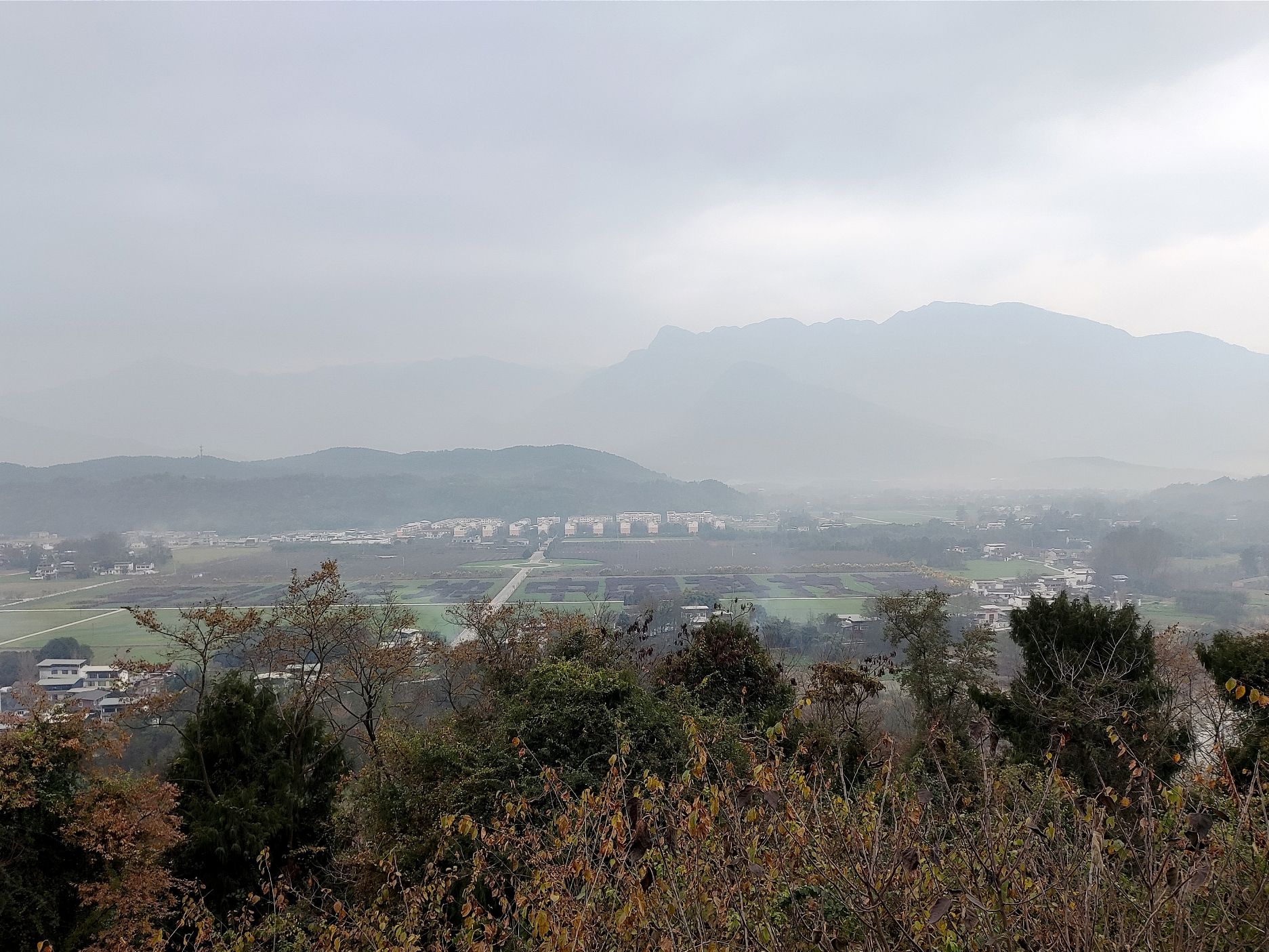 让水河公园旅行图片 3