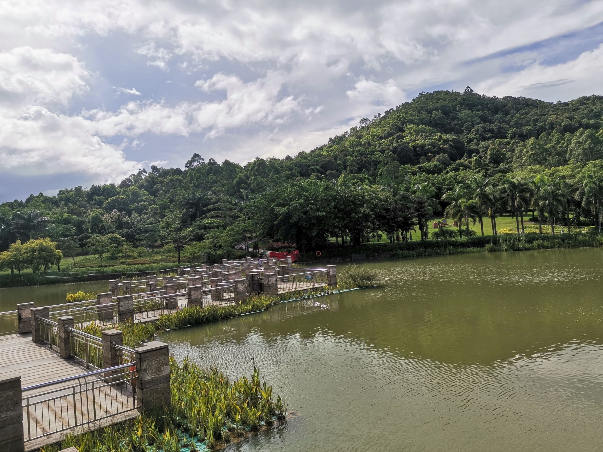 板嶂岭森林公园旅行图片 3