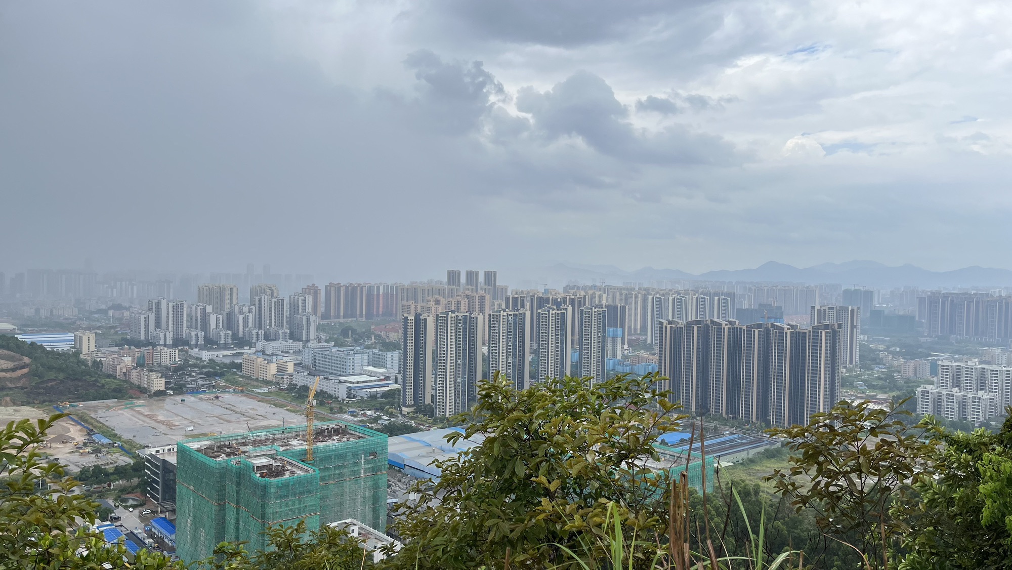 板嶂岭森林公园旅行图片 3