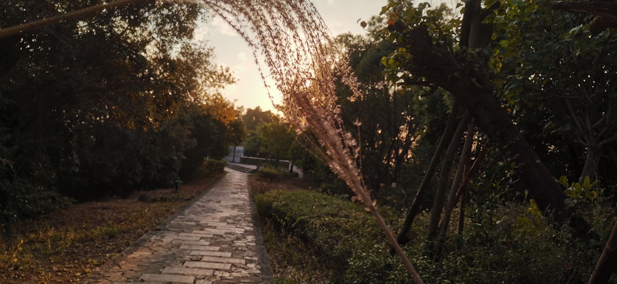 板嶂岭森林公园旅行图片 2