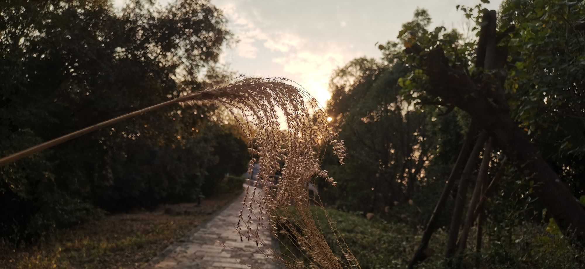 板嶂岭森林公园旅行图片 1