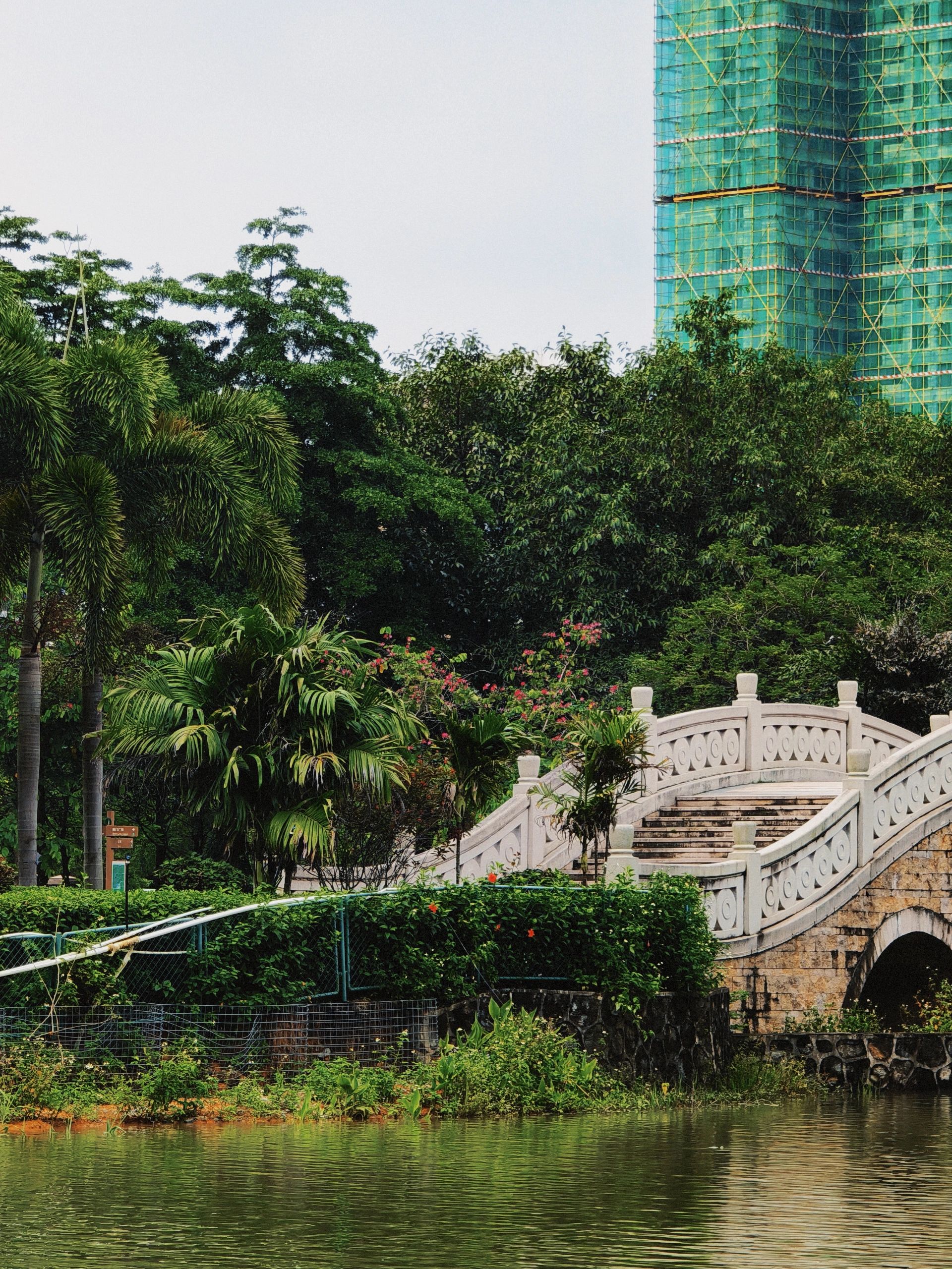 板嶂岭森林公园旅行图片 3