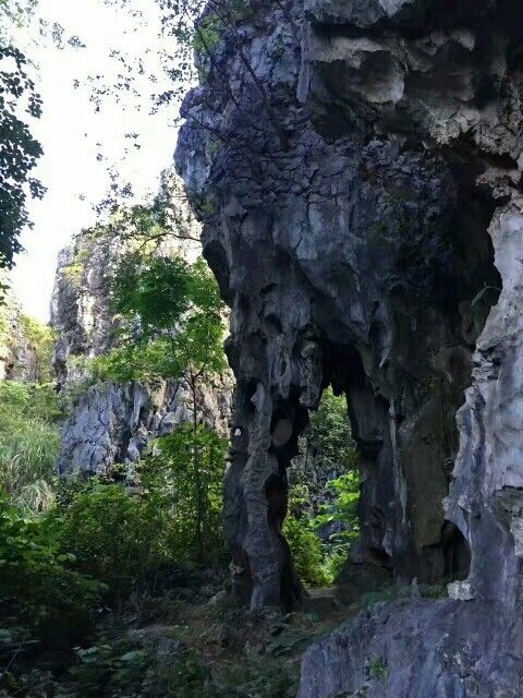 金钗石林城堡景区旅行图片 1